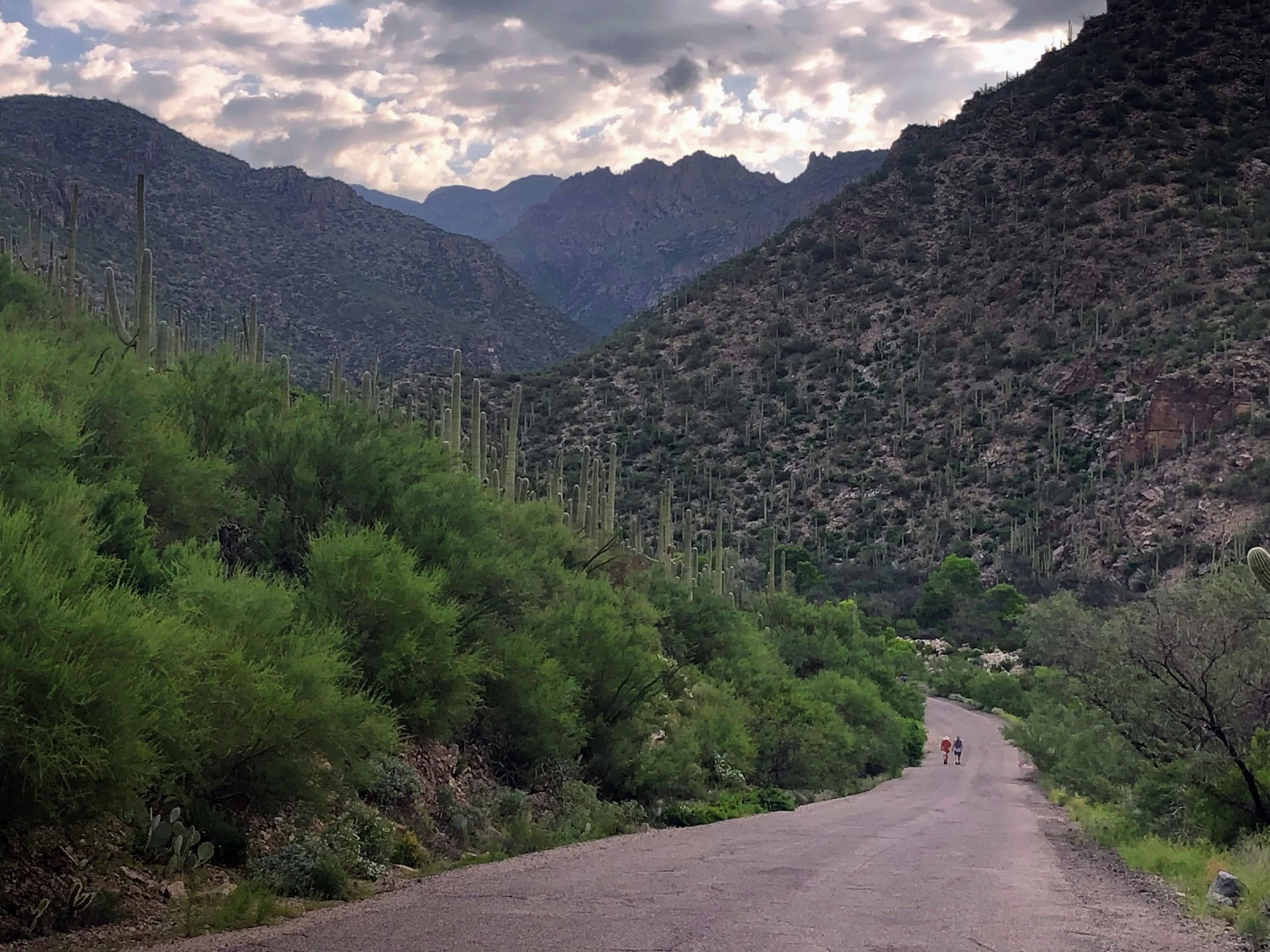A scenic mountain landscape with a dirt road, two hikers walking, green vegetation in the foreground, and cloudy sky overhead.