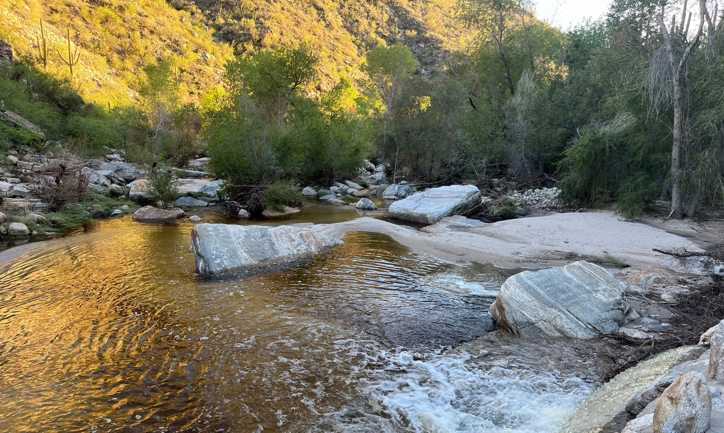 Reiki Level 2 Training