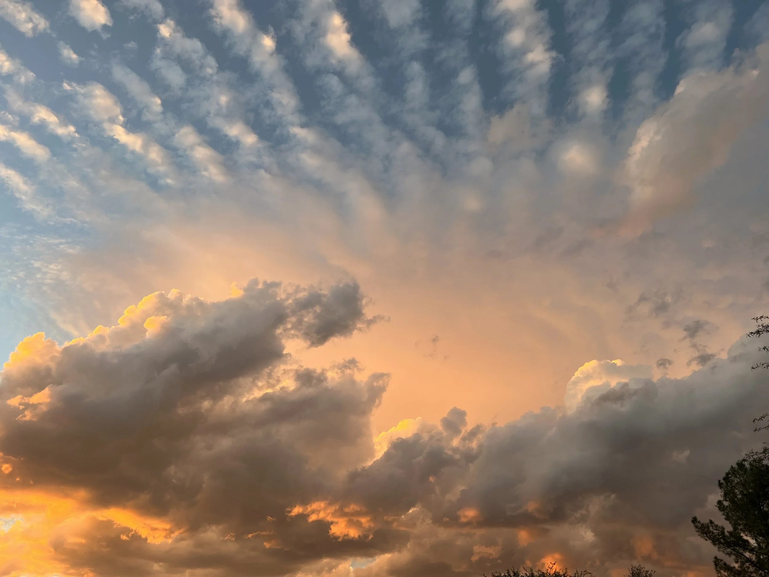 Businesses, Assisted Living Facilities, Nursing Homes, Hospices, or Community Setting Reiki Session