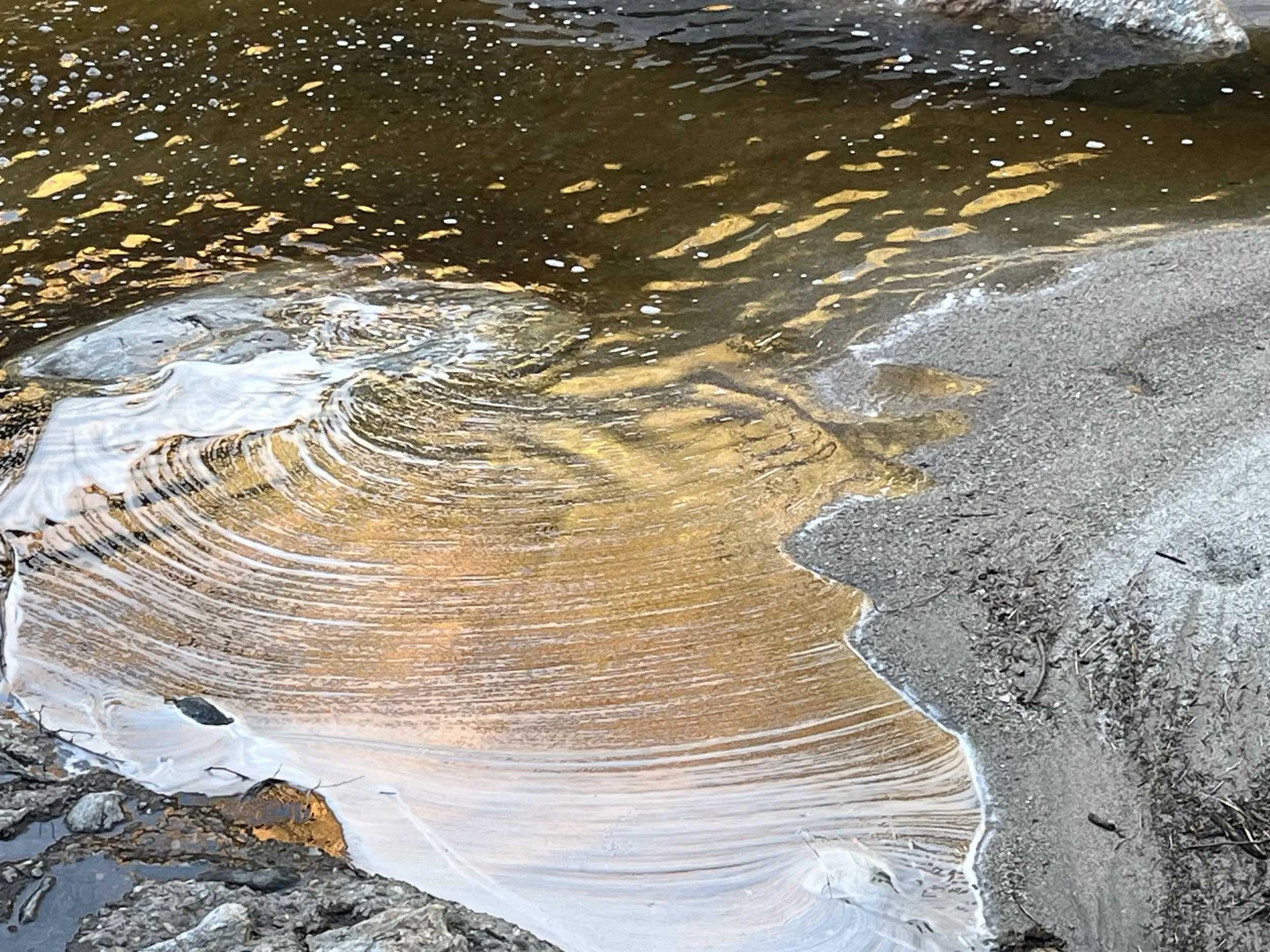 Reiki Level 1 Training