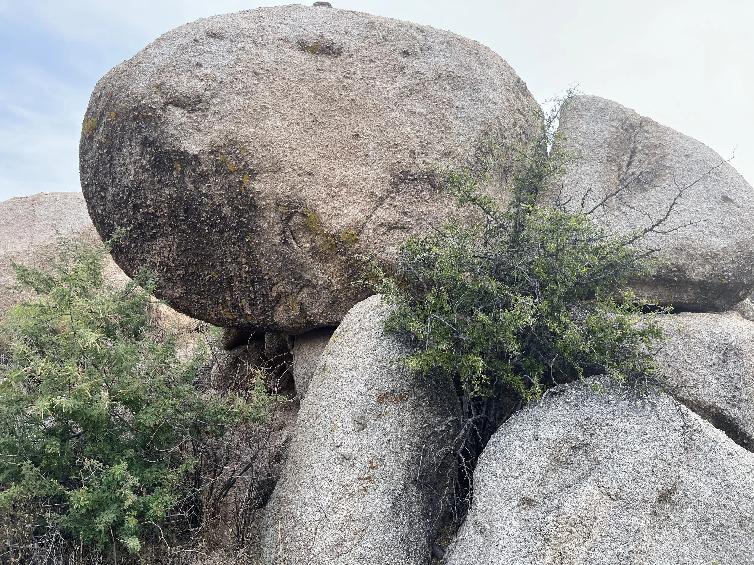 Large boulder resting on smaller rocks, surrounded by green shrubs and desert vegetation under a cloudy sky.