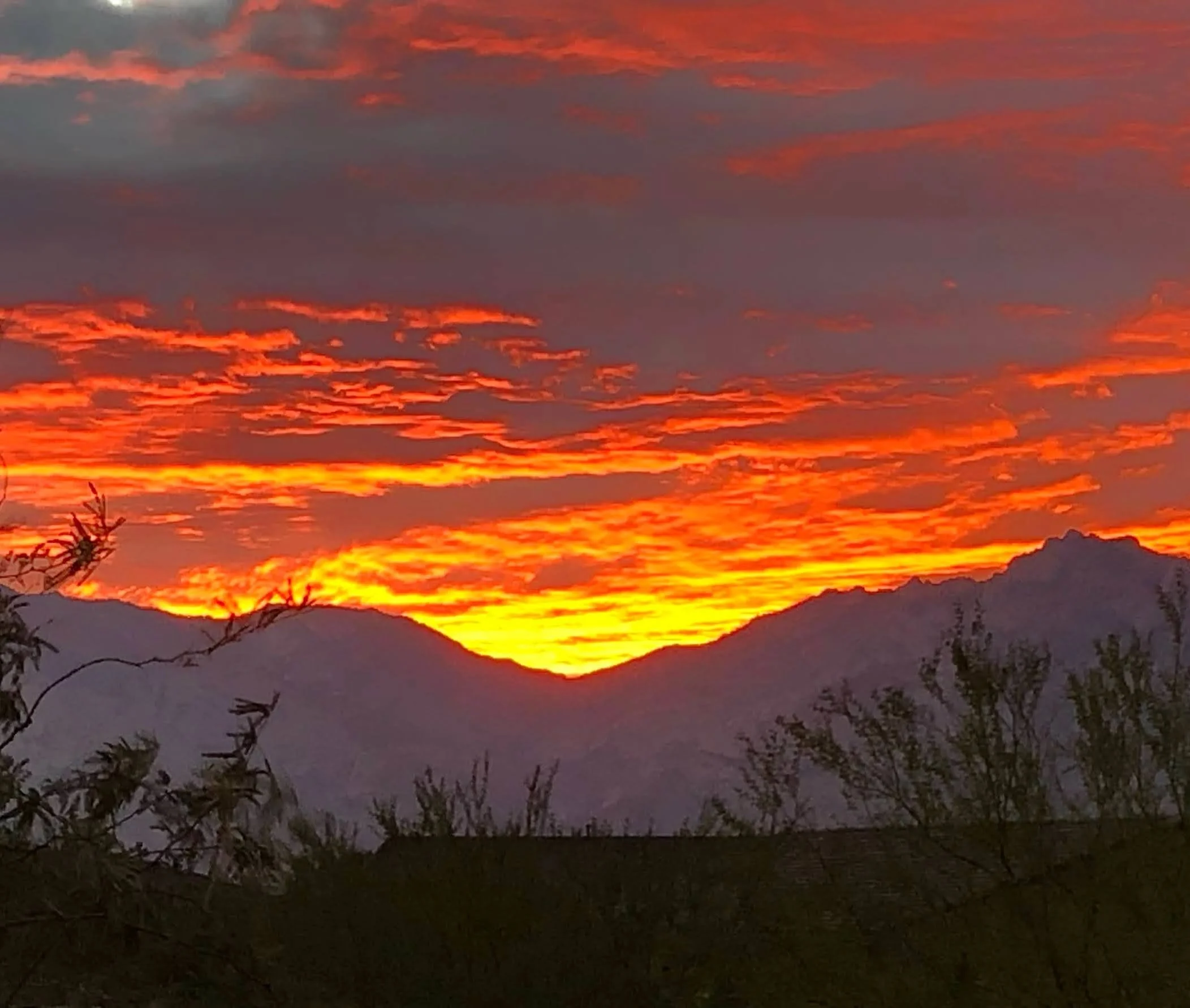 Special Introductory Session, 1 hour