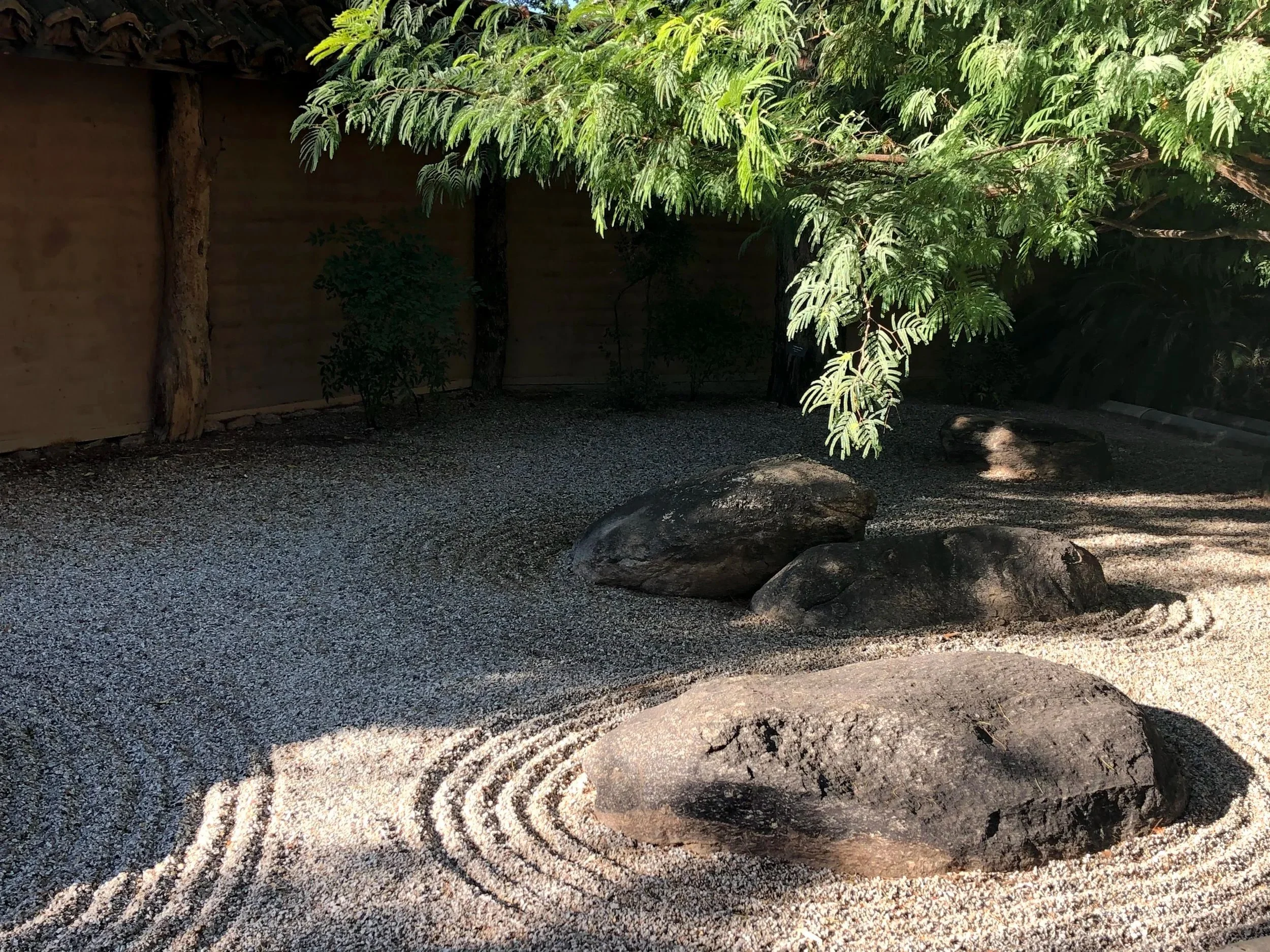 Rock and sand garden in Arizona