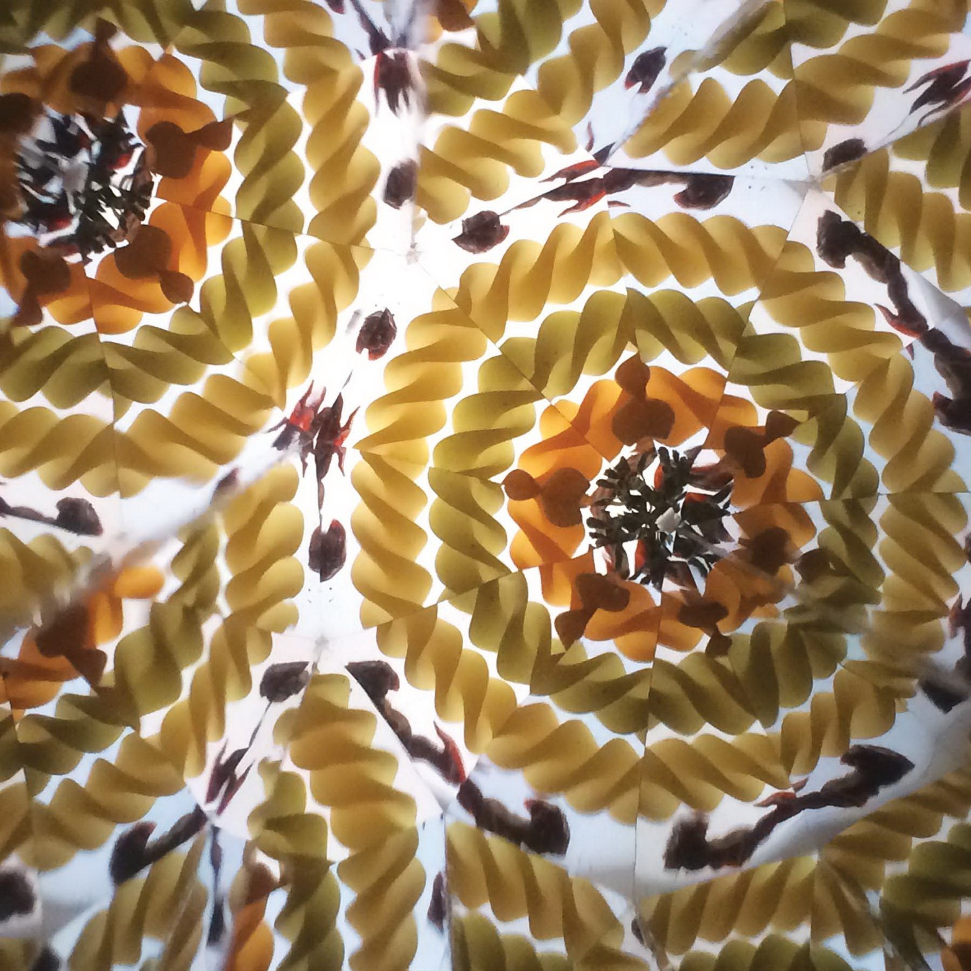 Kaleidoscope pattern featuring circular arrangements of spiral fusilli pasta.