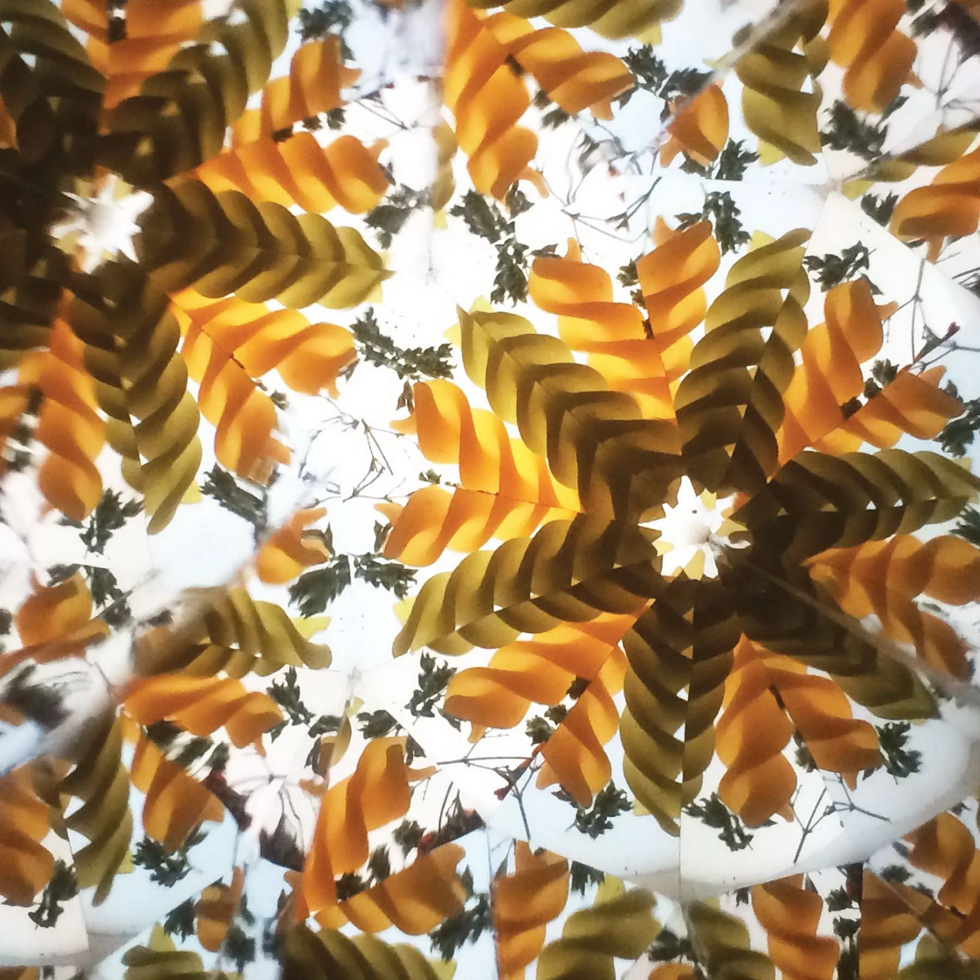 Symmetrical kaleidoscope star created with golden spiral pasta shapes.