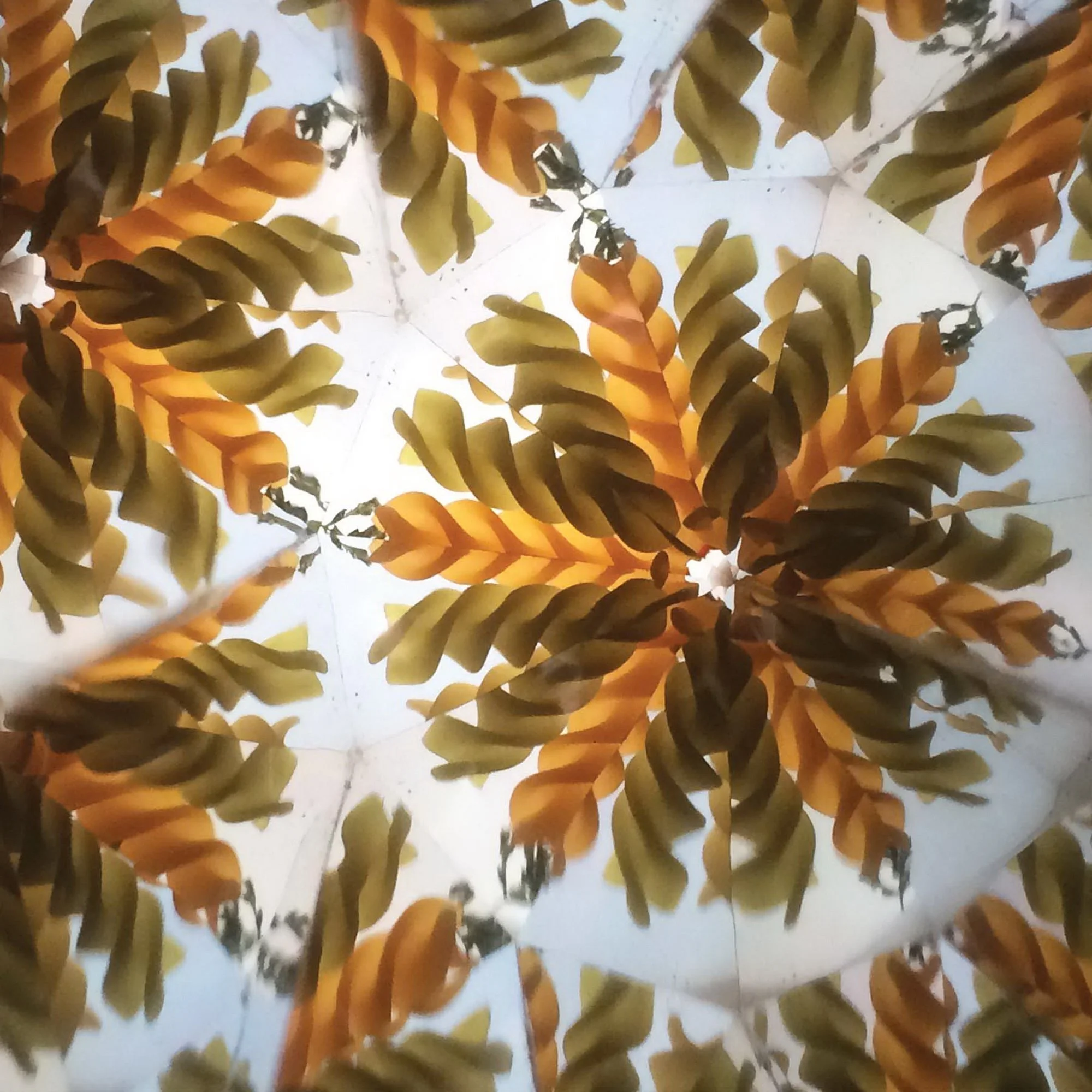 Geometric food art showing spiral pasta in kaleidoscopic radial symmetry.