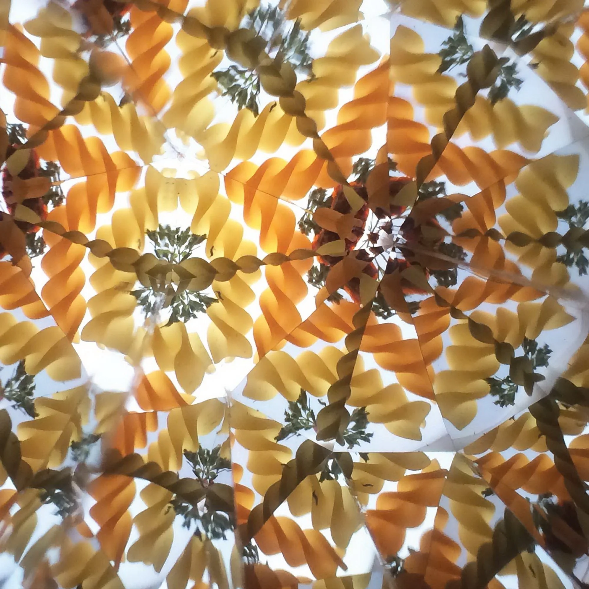 Intricate kaleidoscope mosaic of golden-brown pasta textures and patterns.