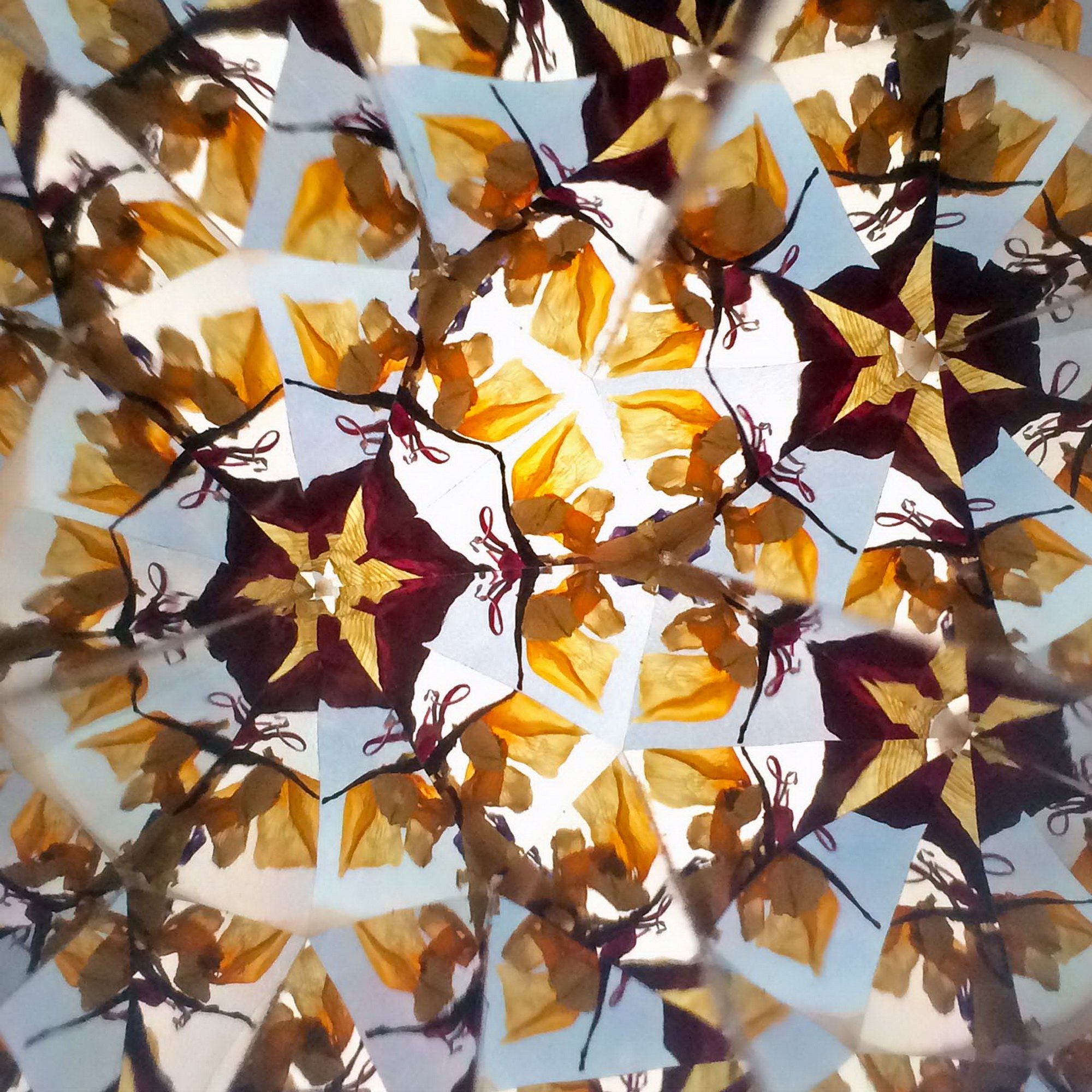 Symmetrical gold and burgundy organic shapes in a shifting kaleidoscope view.