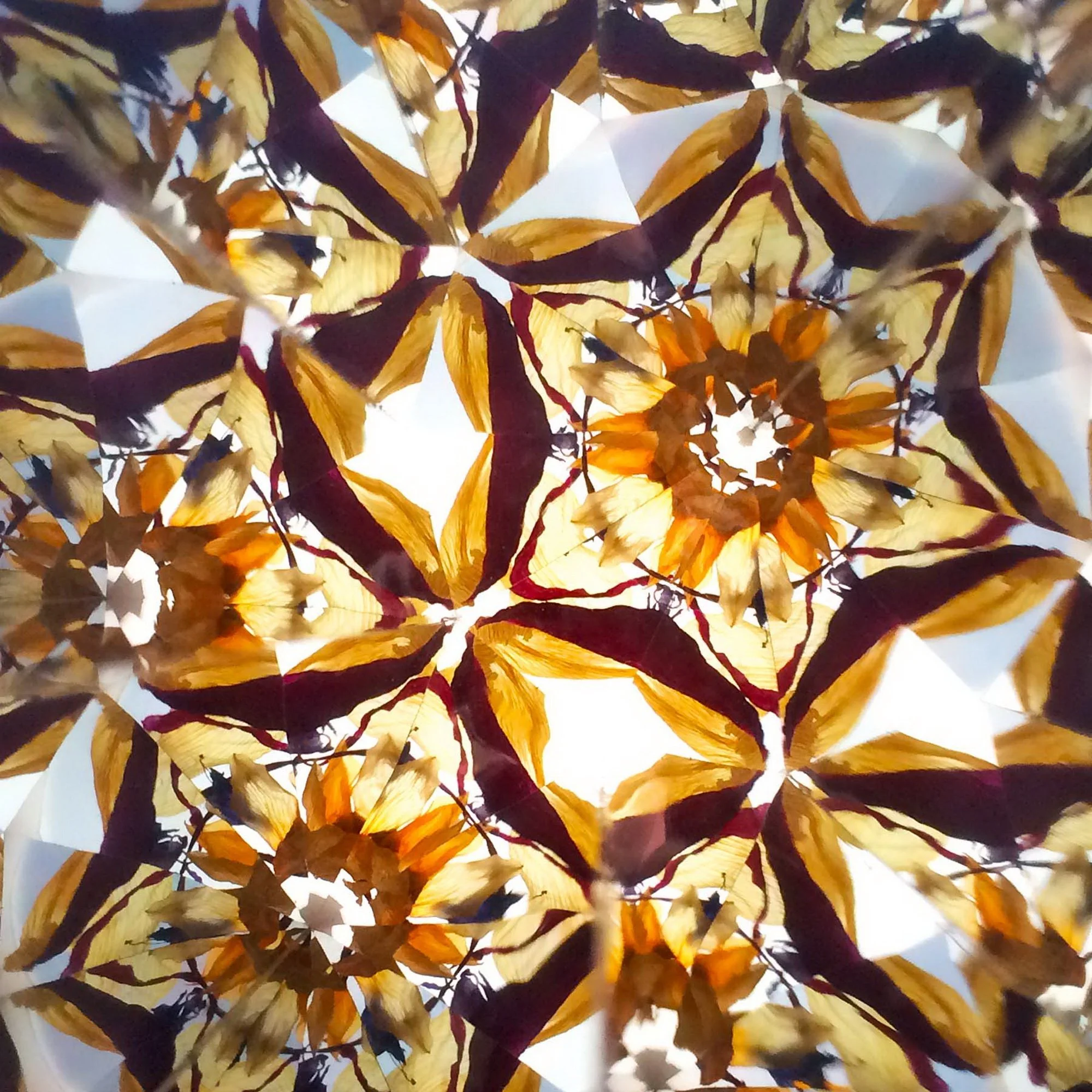 Kaleidoscope pattern of gold and deep purple secessionist ornaments.