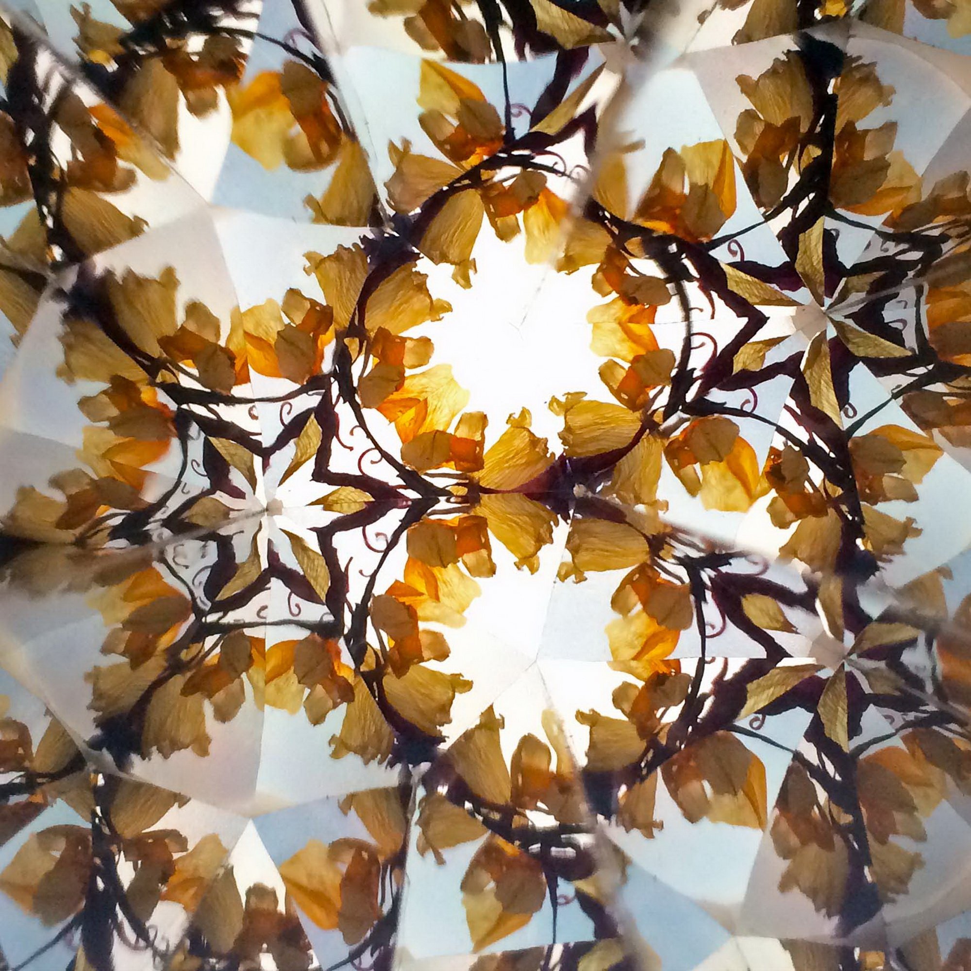 Radiant golden kaleidoscope mosaic inspired by organic art nouveau forms.