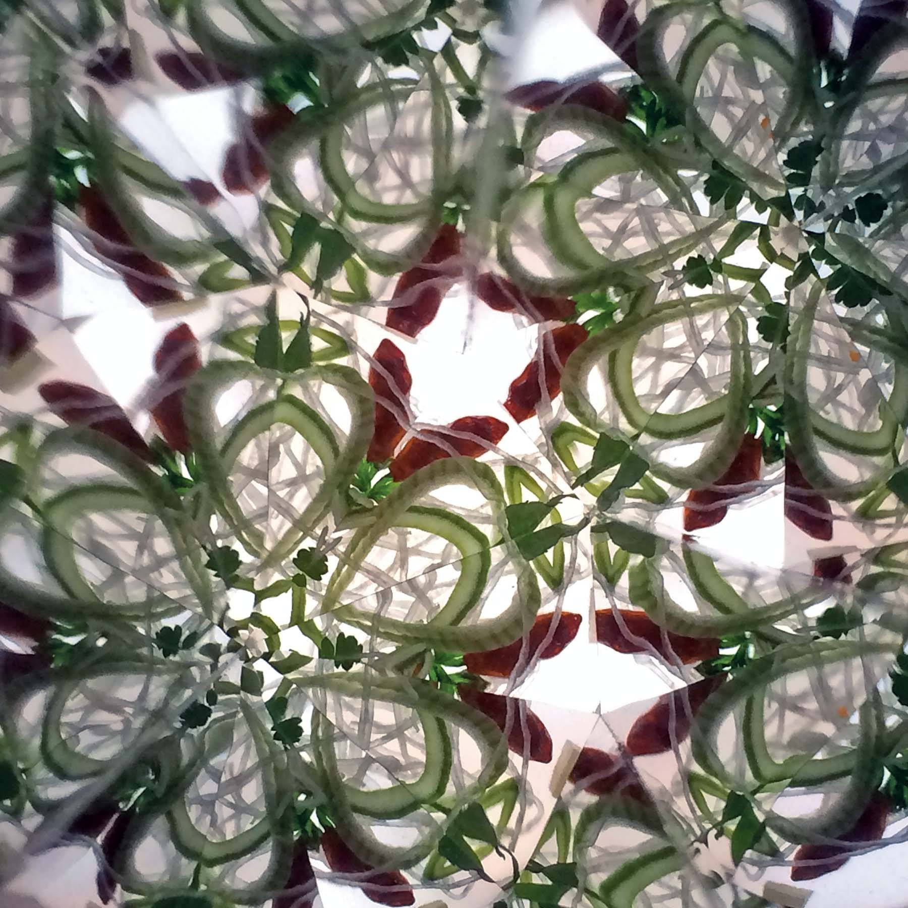 Symmetrical kaleidoscope view of red chili peppers and herbs