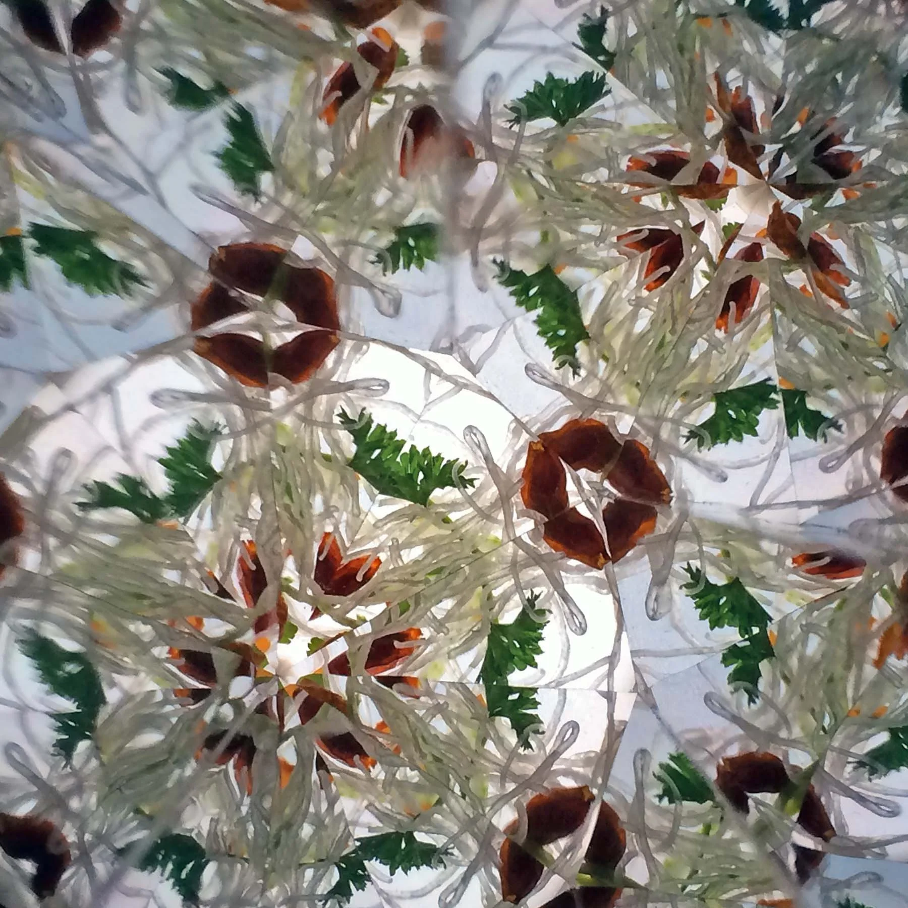 Abstract geometric art created through a kaleidoscope lens using Thai food ingredients.