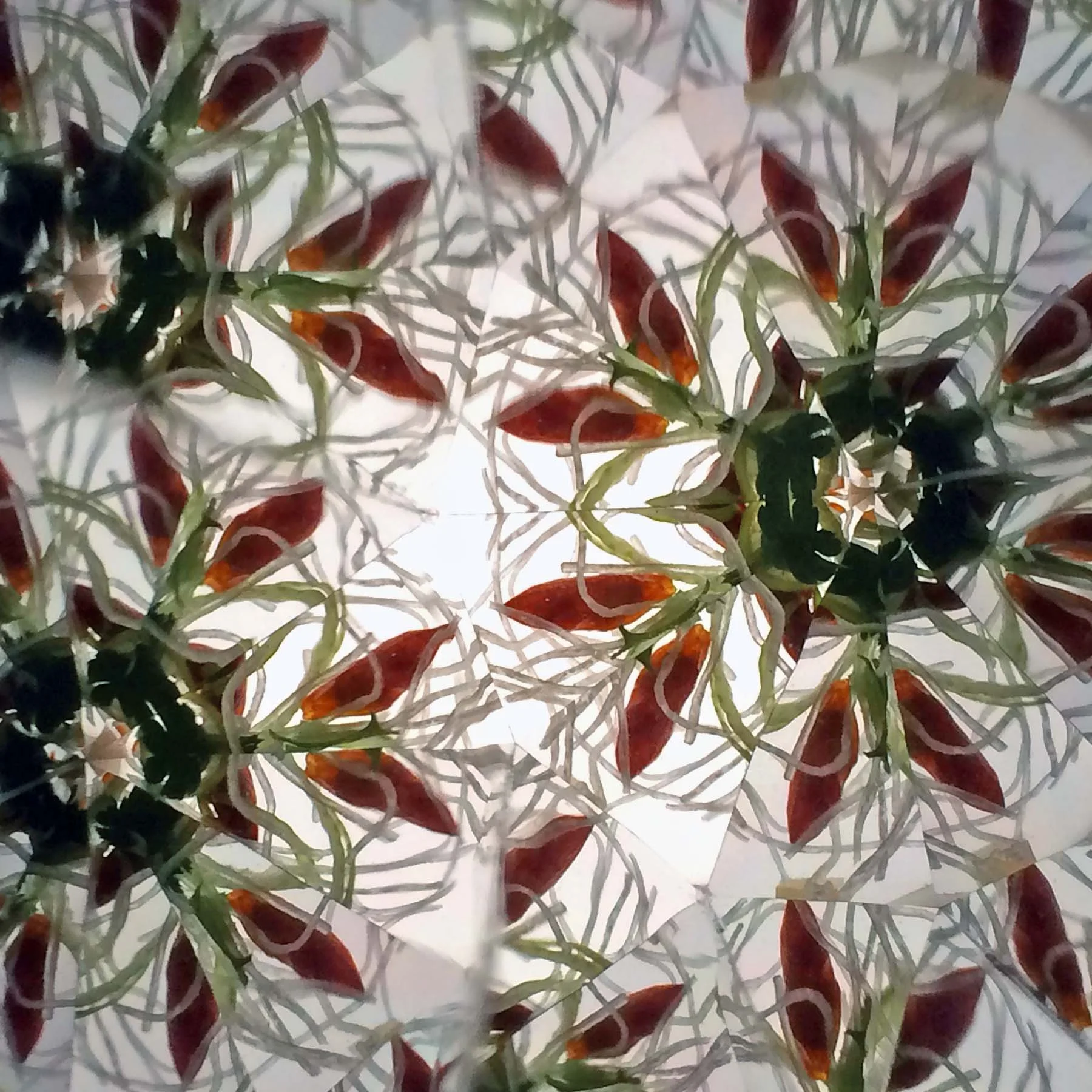 Intricate kaleidoscope mosaic of Southeast Asian culinary textures.