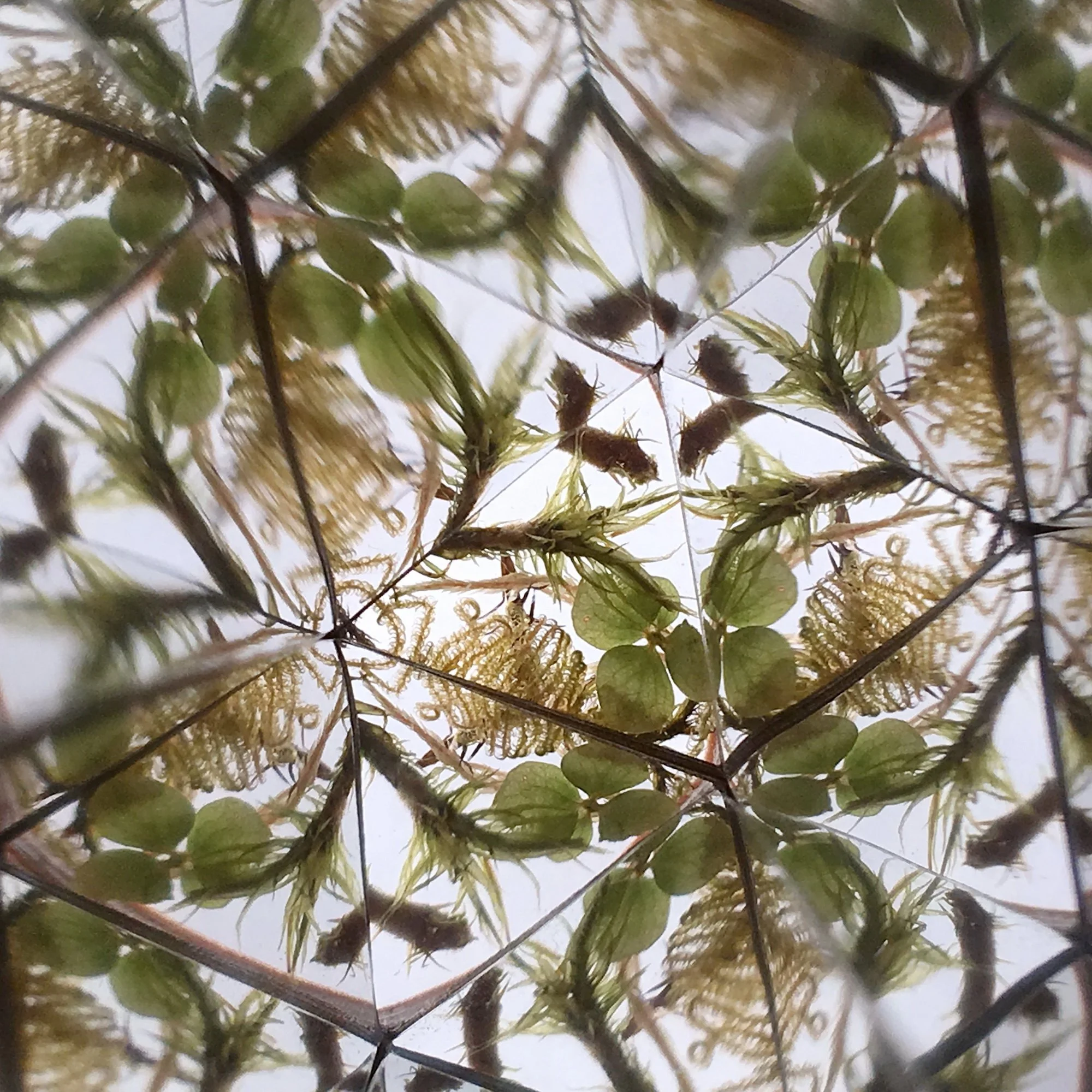  Lighter botanical kaleidoscope view featuring fresh green leaves and forest floor textures emerging after the melting snow. 