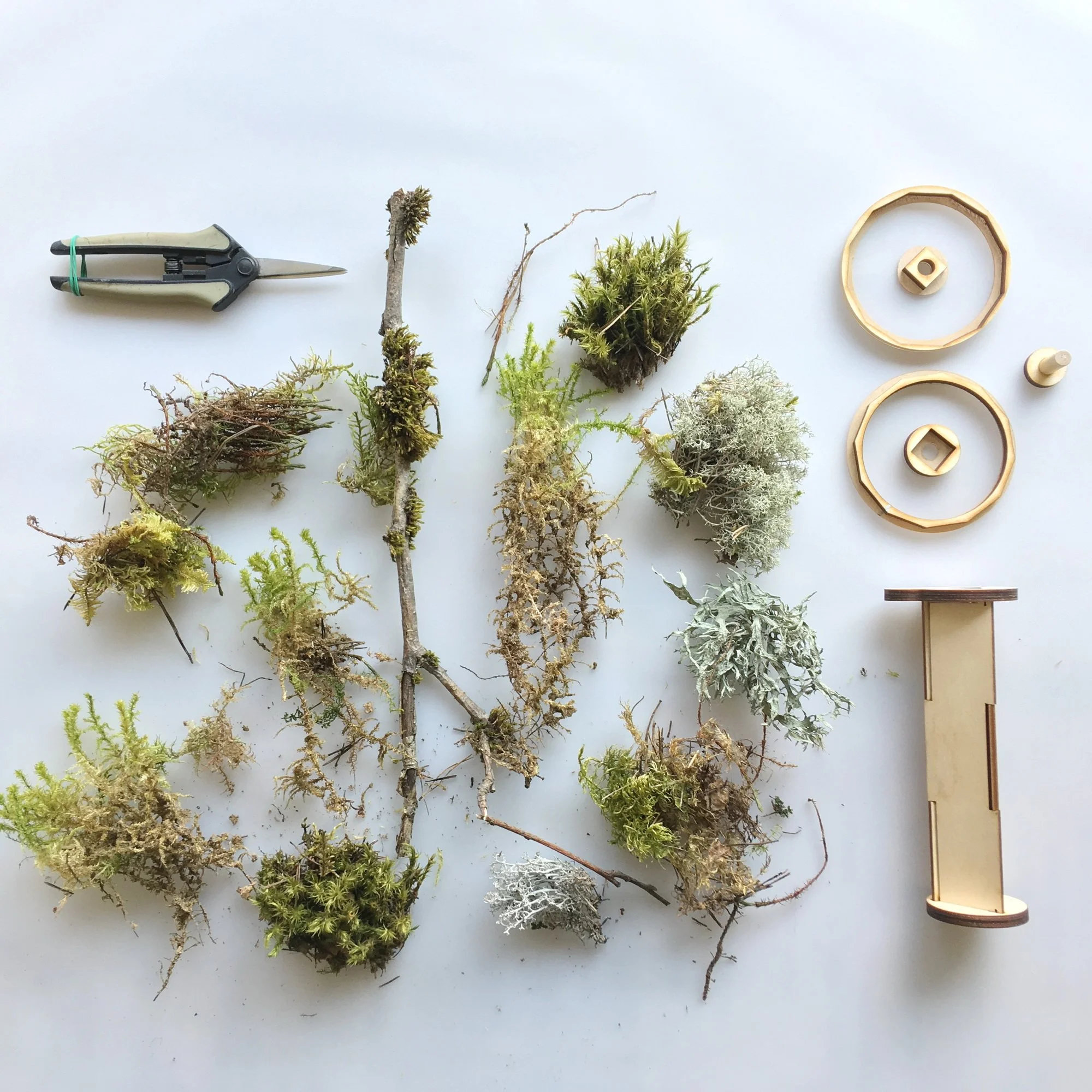 THE INGREDIENTS OF MAGIC