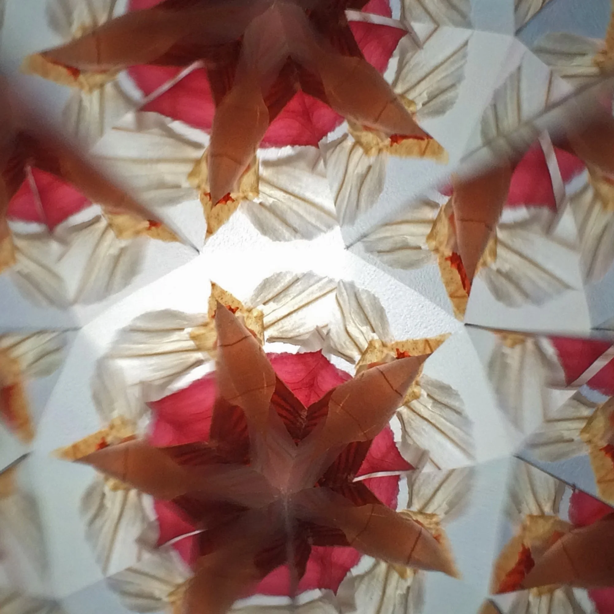  Warm earthy tones and abstract star patterns inside an Amber Kaleidoscope flower lens. 