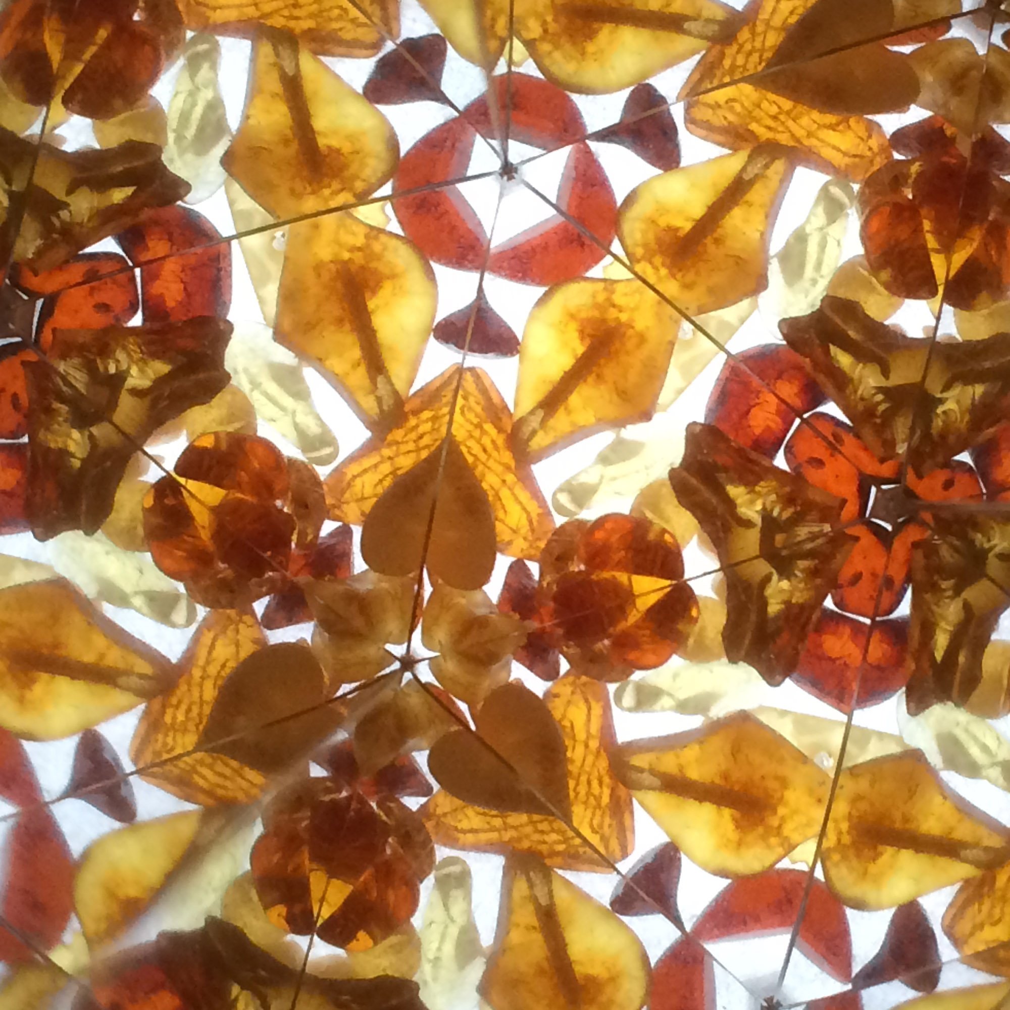  Intricate kaleidoscopic mosaic of thin amber flakes and organic shapes in warm ochre, gold, and earthy brown tones. 