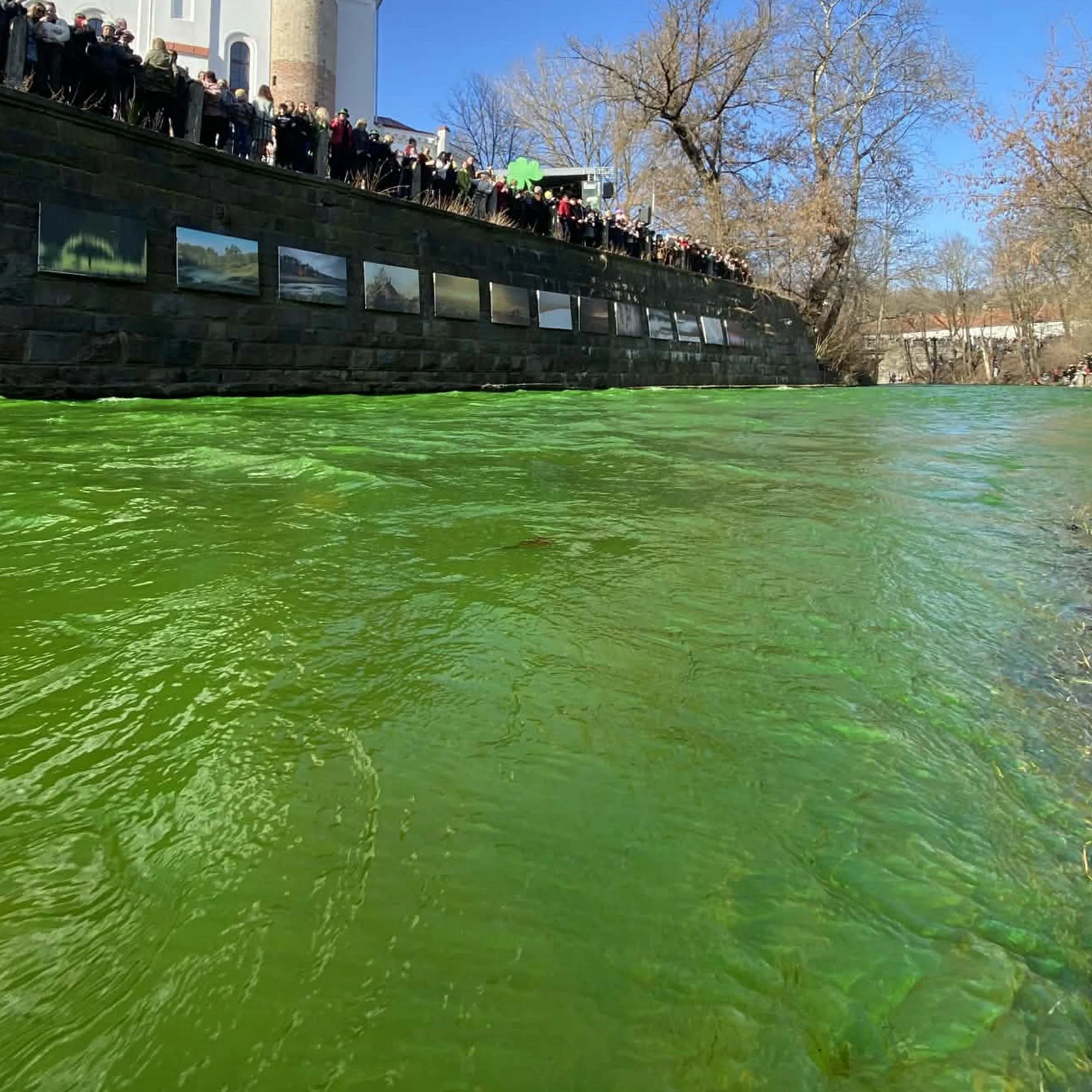 Finding Luck in Every Pattern ☘️