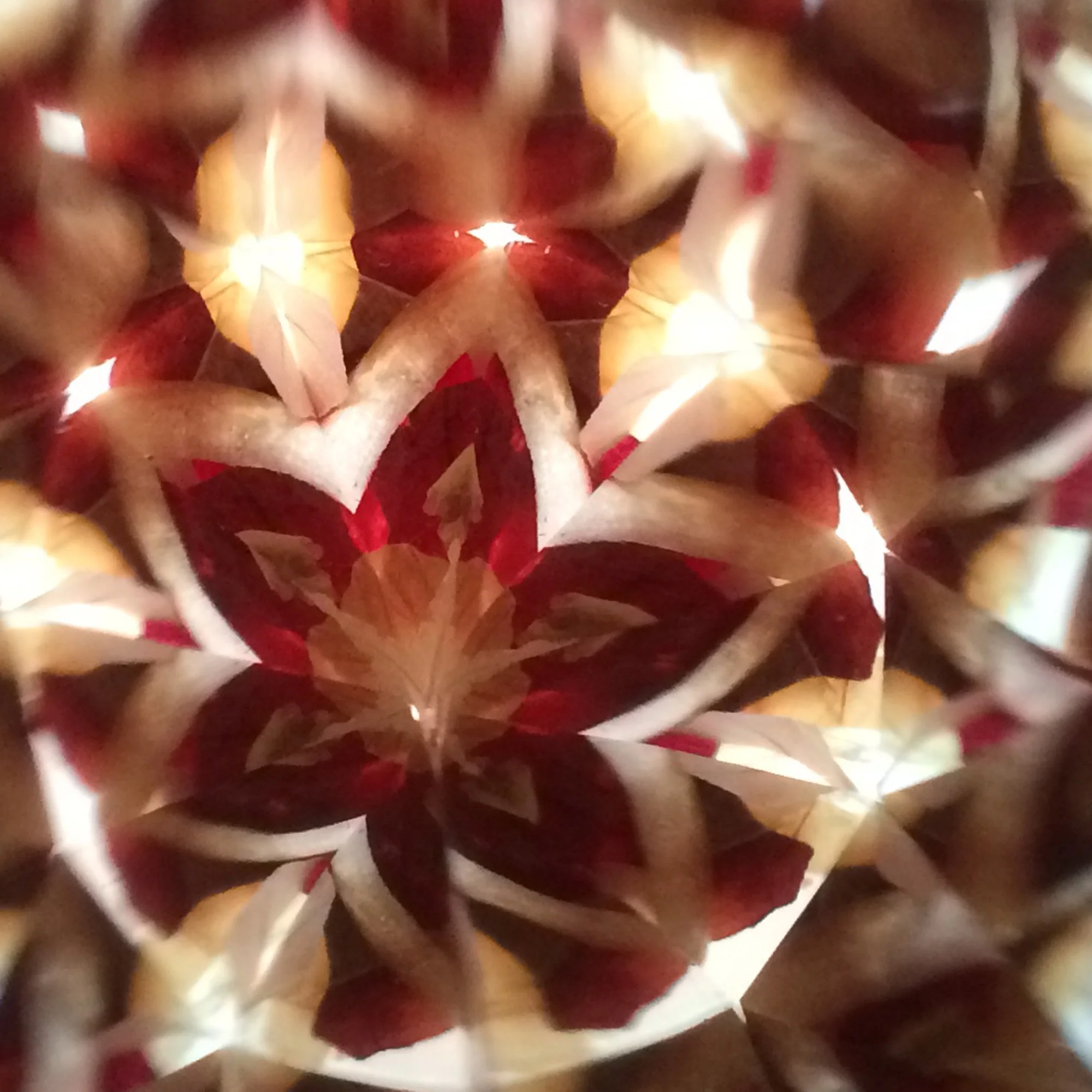  Intricate dark red and orange floral kaleidoscope pattern, capturing the rich tones of natural onion skin pigments. 