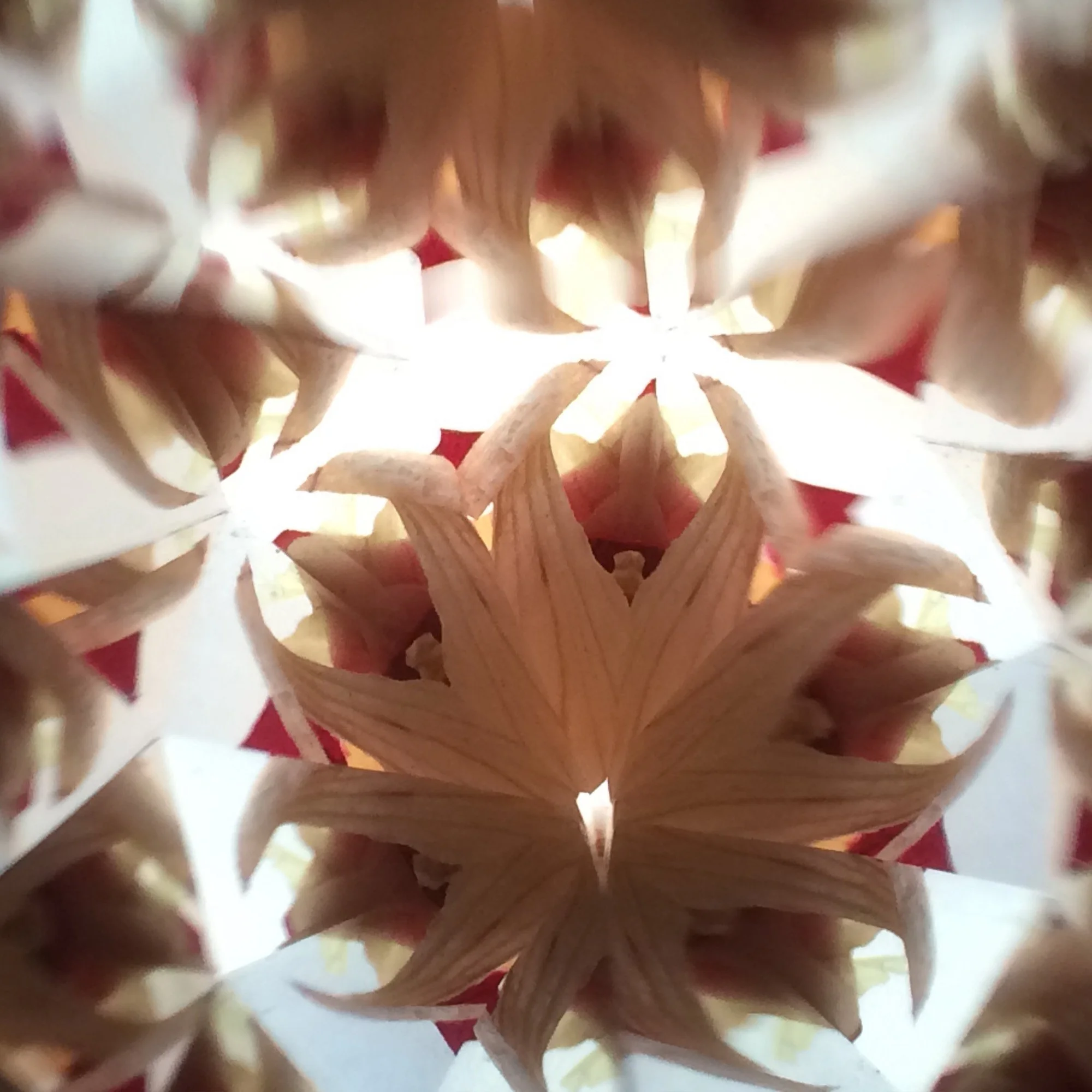 Easter Blooms: Tradition Reimagined