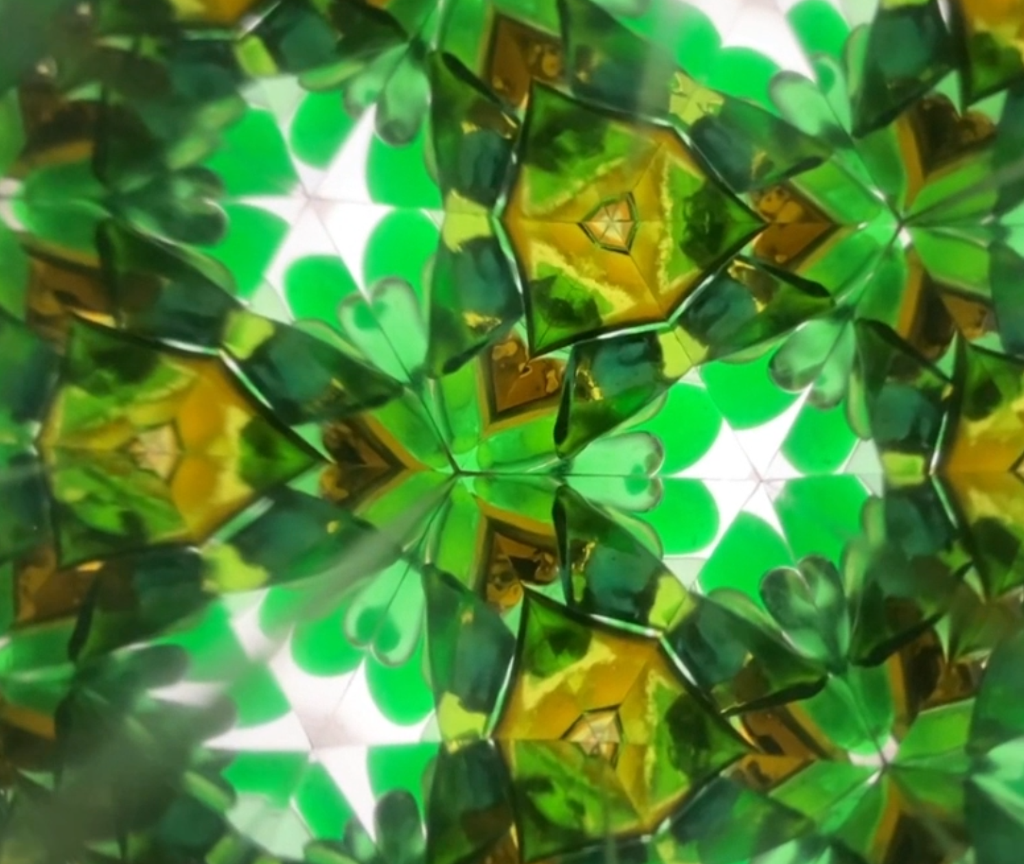 Magic Forest: Returning to the Emerald Depths