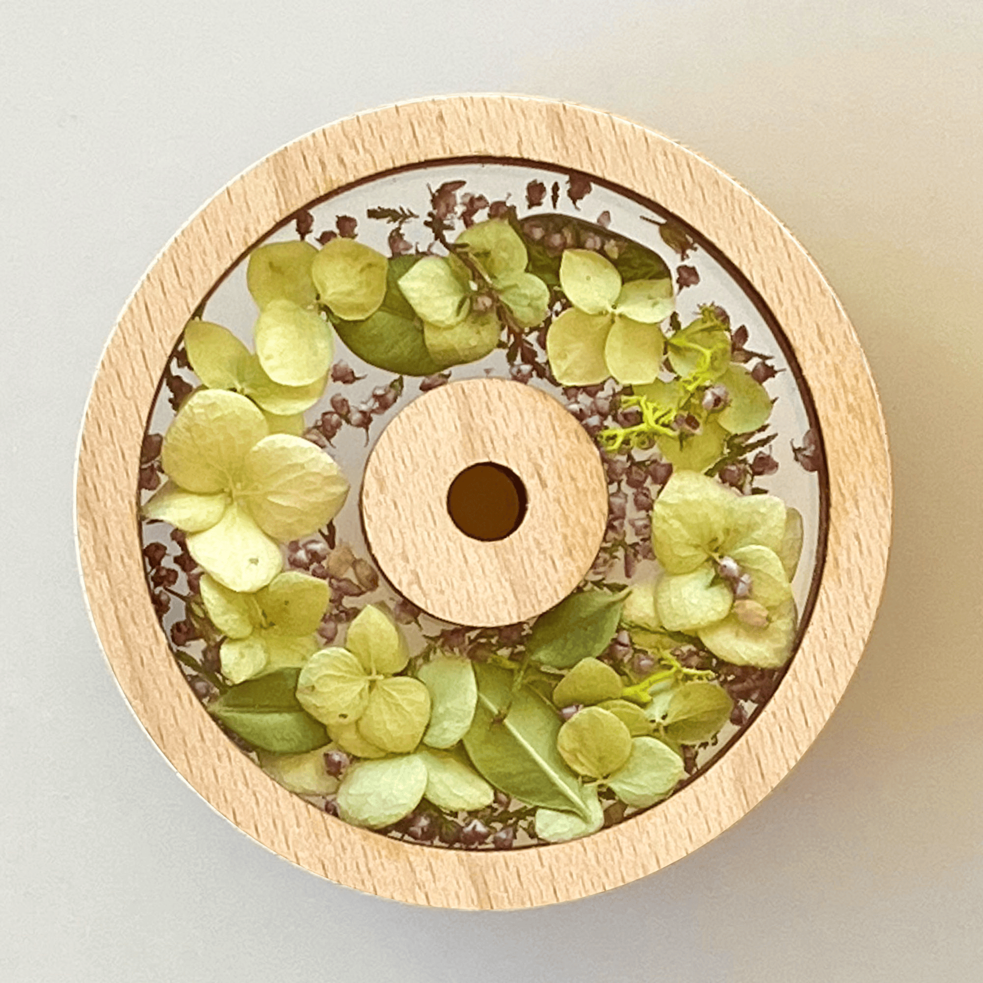 Spring Unfolding: The Bud Series