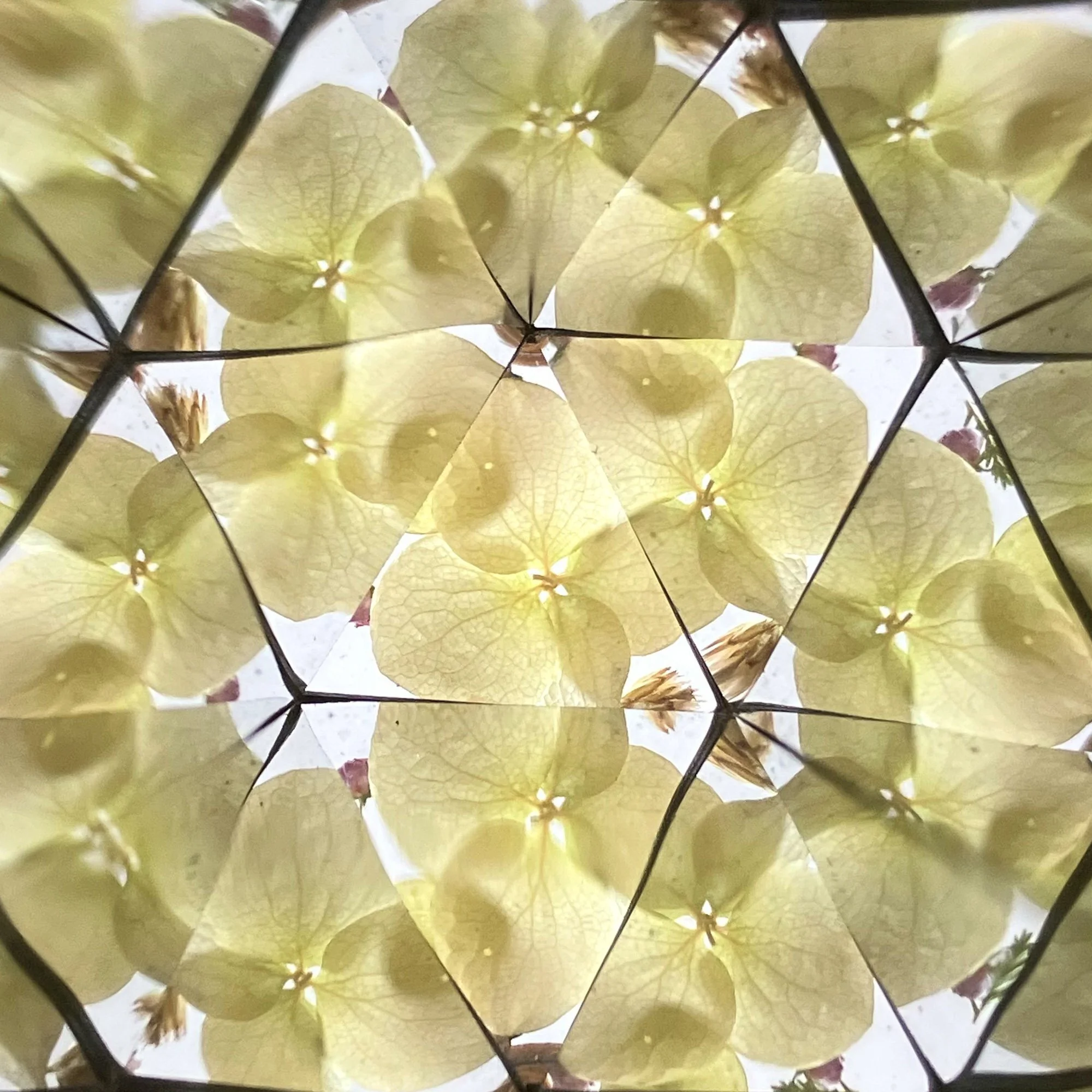  Kaleidoscope pattern in olive green and light yellow tones, inspired by spring buds and new leaves unfolding. 