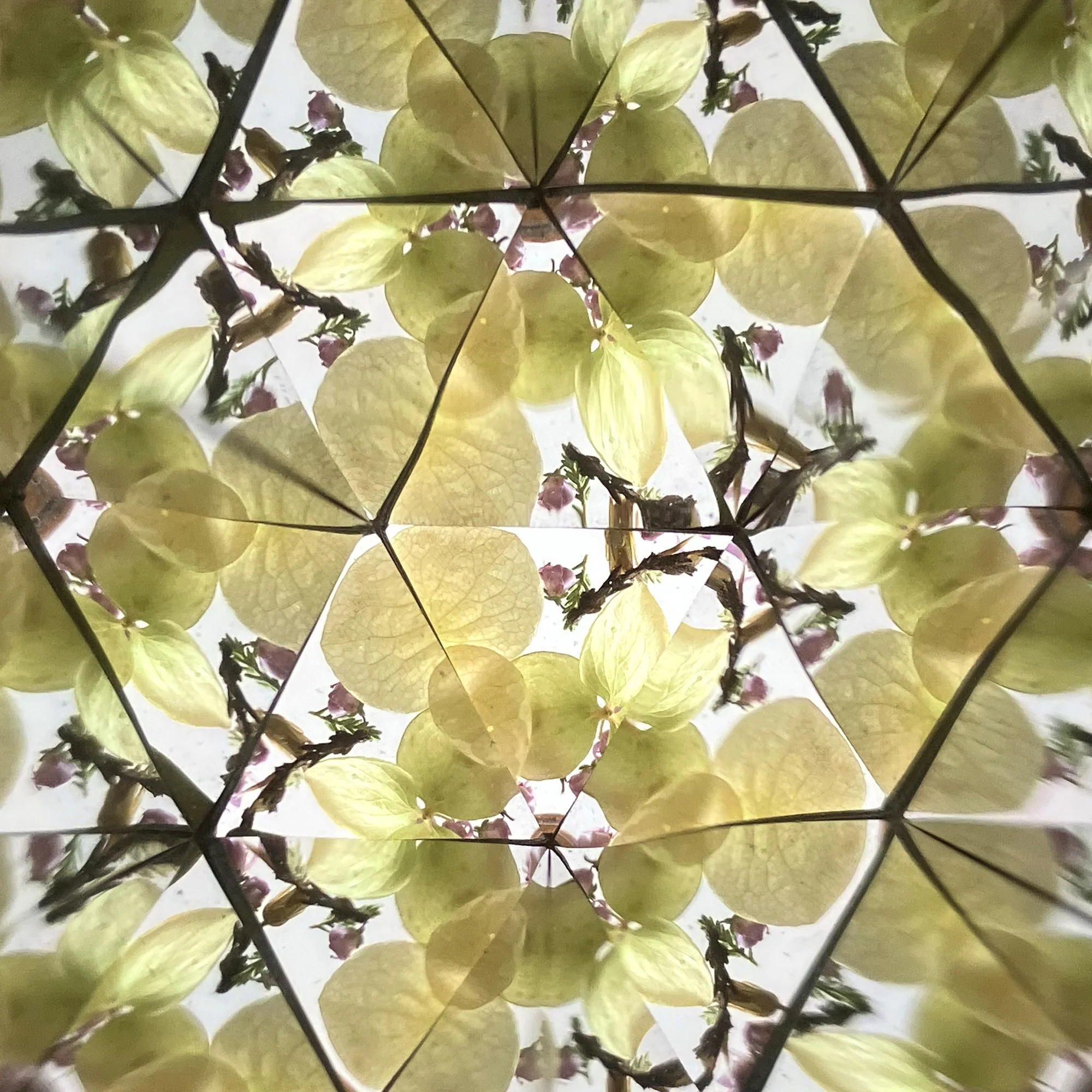  Symmetrical kaleidoscope art with soft sunlight filtering through green leaf patterns and spring bud textures. 