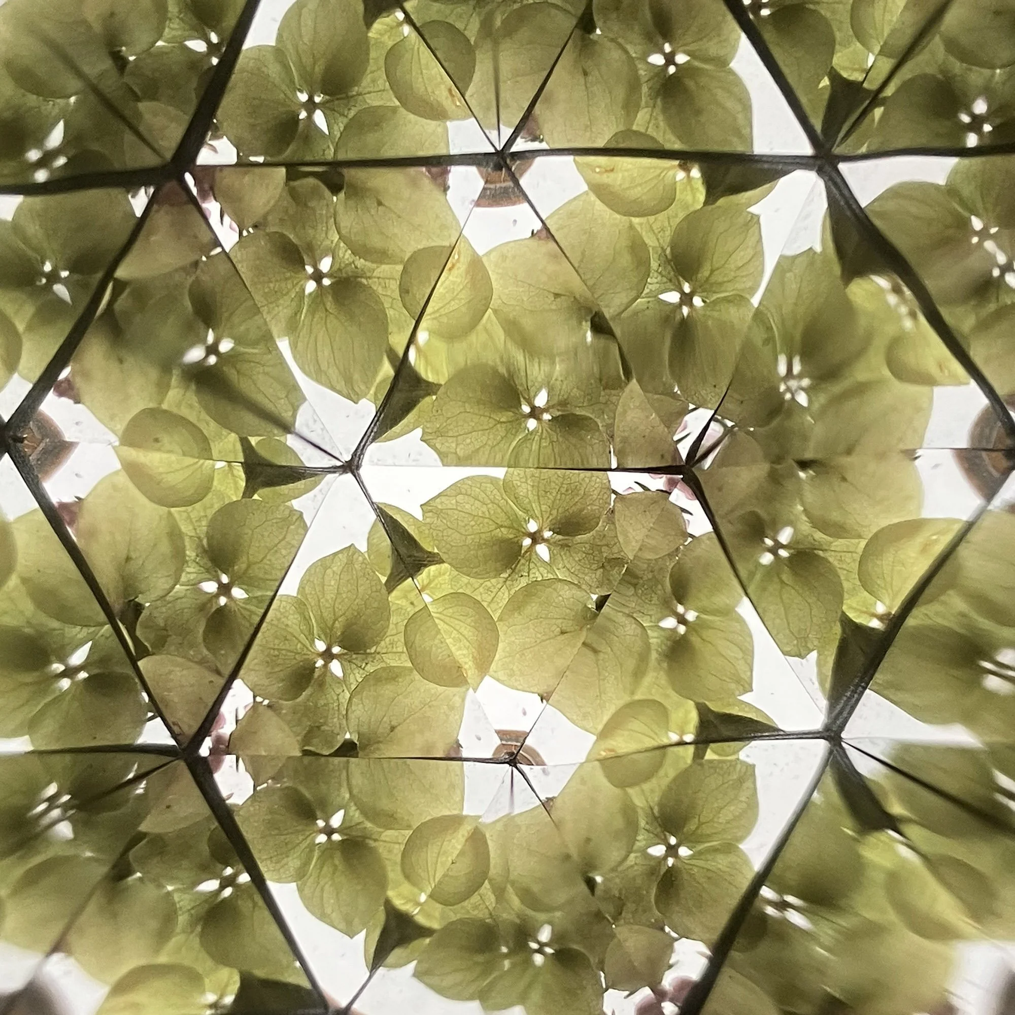  Delicate star-shaped kaleidoscope design in muted spring colors, reflecting the organic beauty of nature's awakening." 