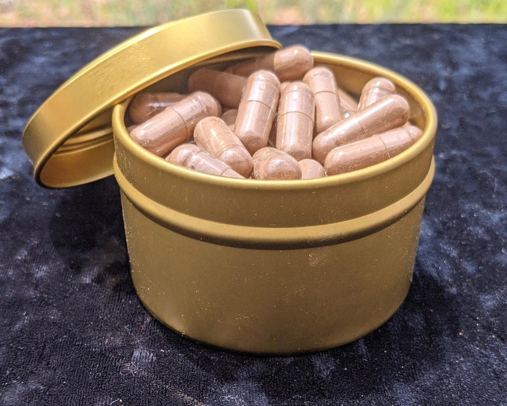 Mushroom blend Capsules