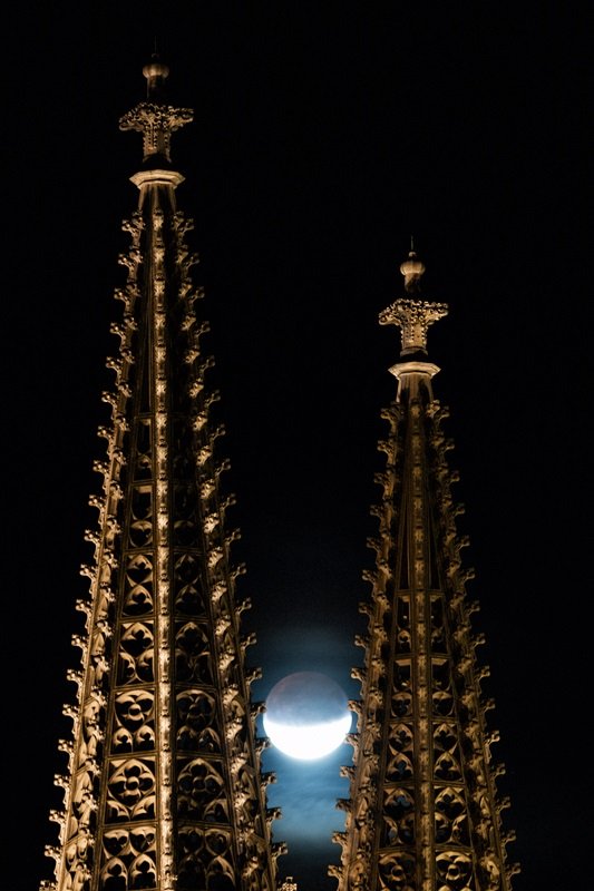 Regensburger Dom im Mondlicht