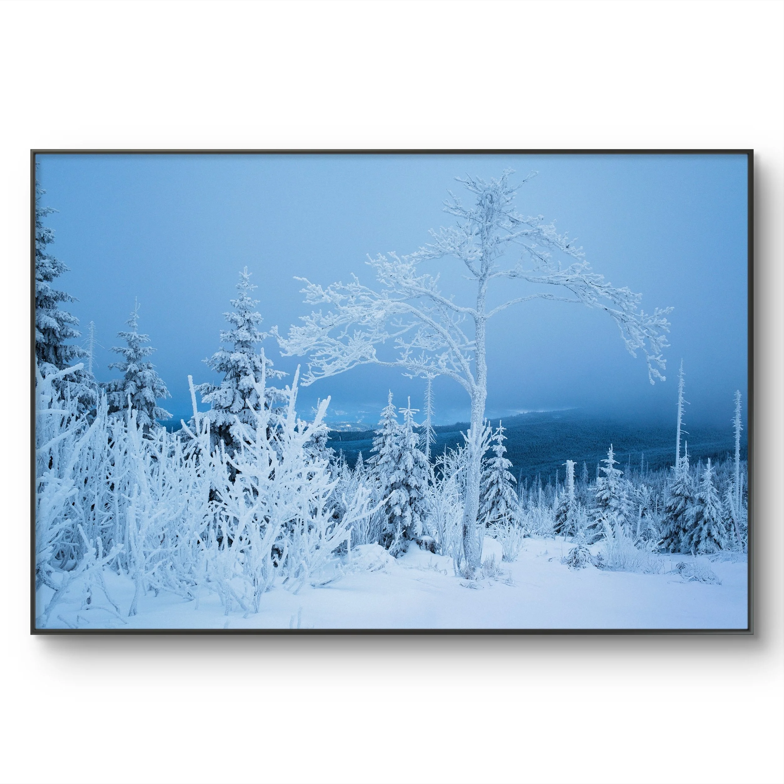 Dreisessel im Bayerischen Wald bei Freyung