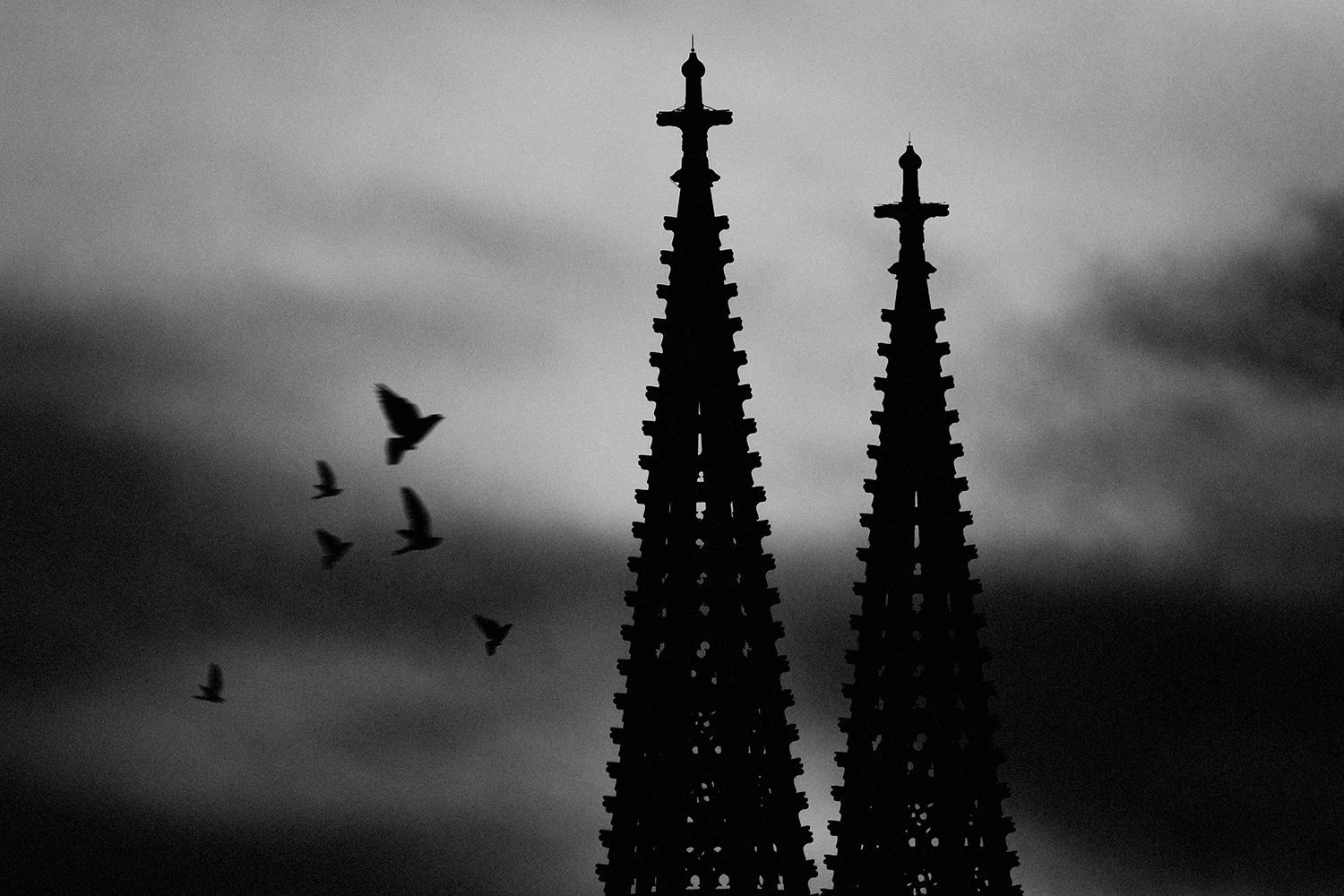 Regensburger Dom in Schwarz-Weiss mit Vogelschwarm