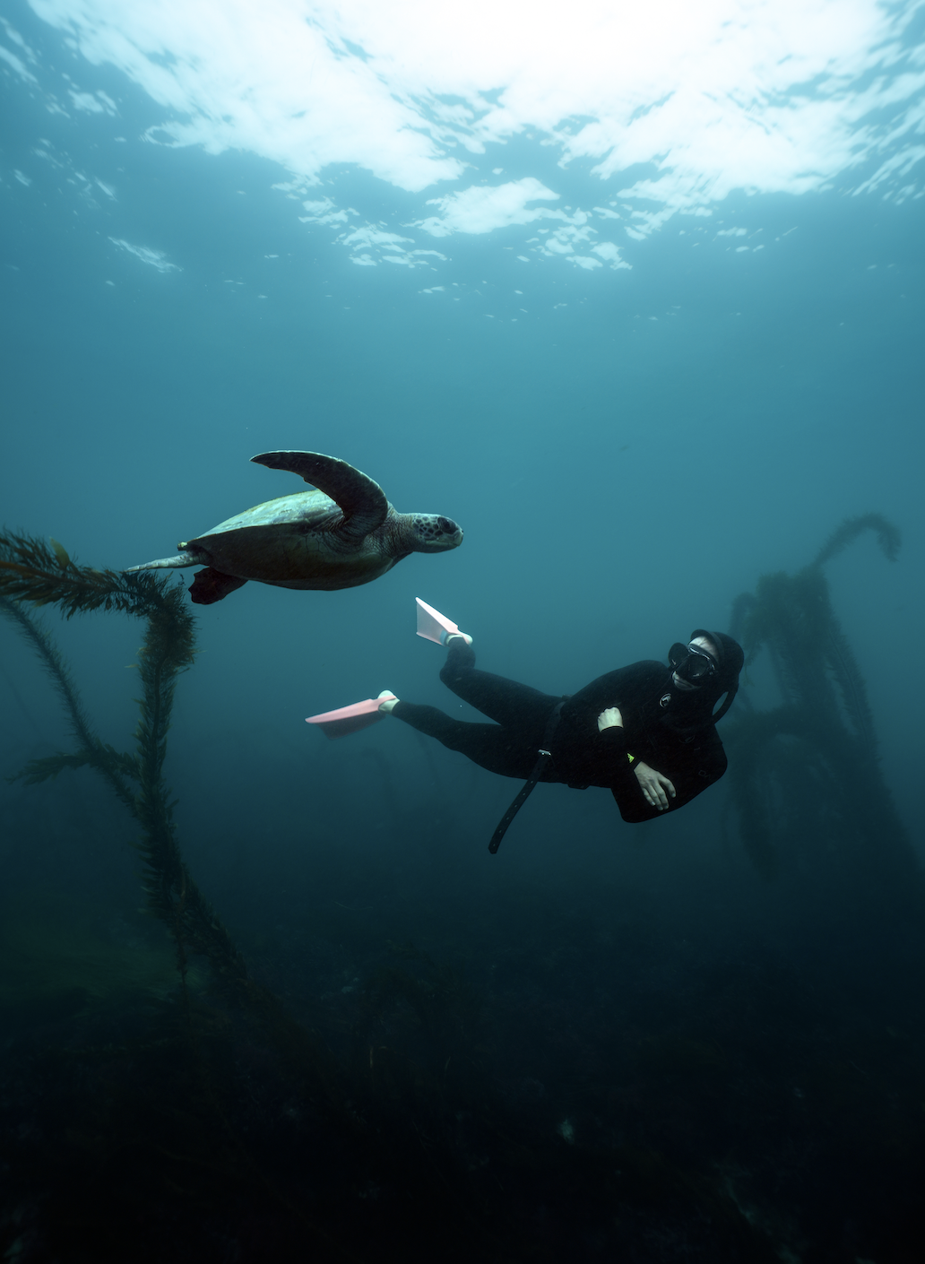 Screenshot 2026-02-20 at 6.18.58 PM.png