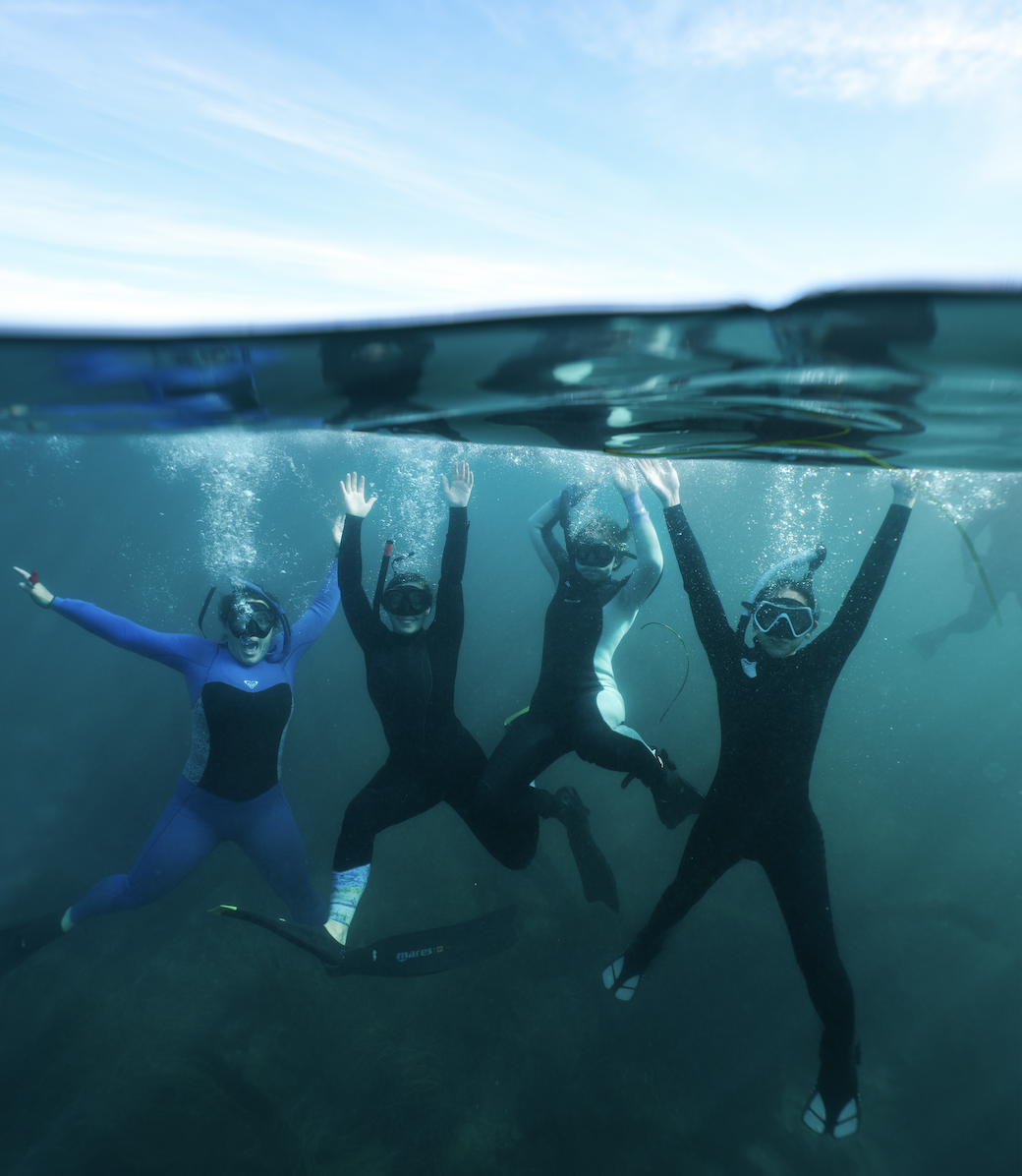 Screenshot 2026-02-20 at 5.23.26 PM.png