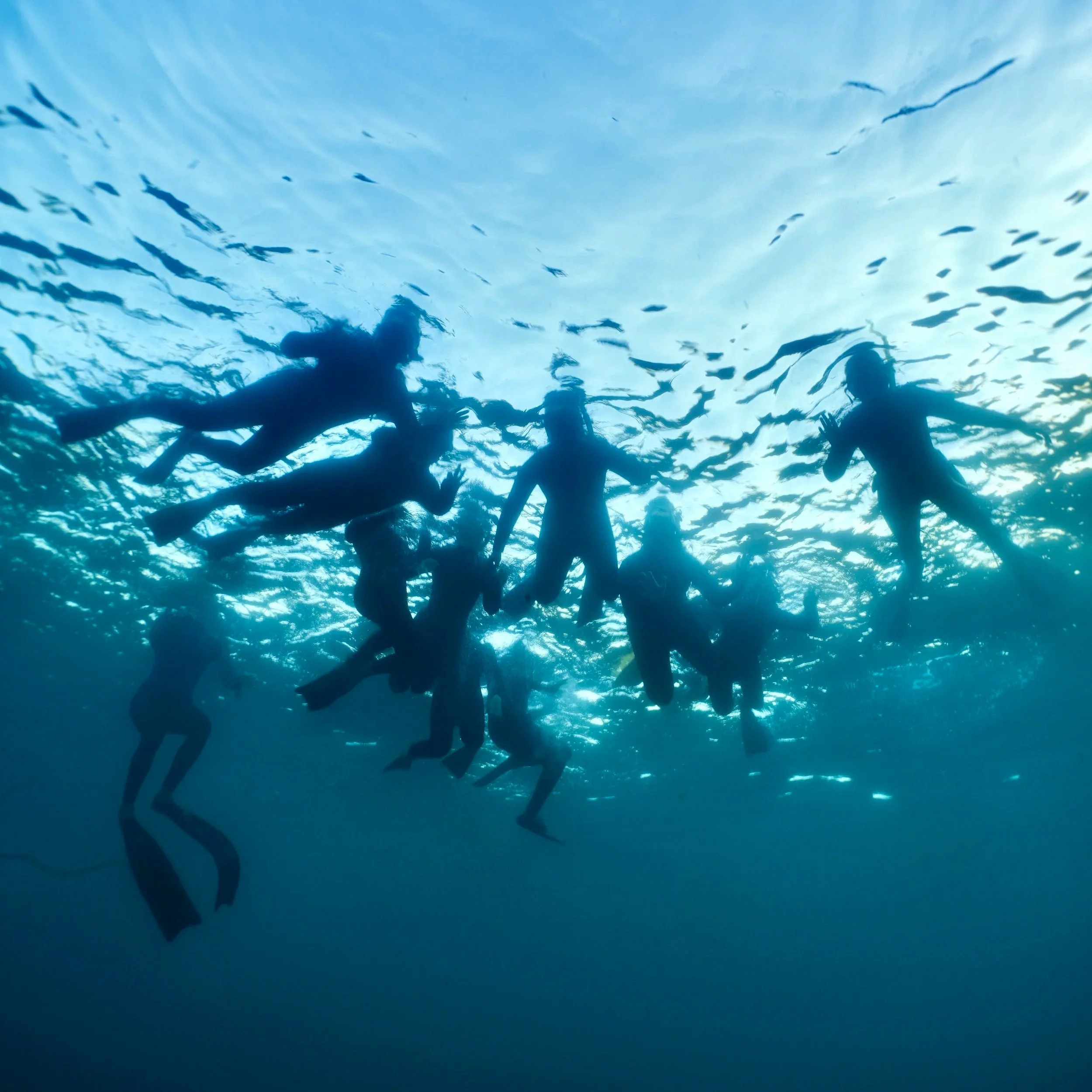 Junior Freediving Programs