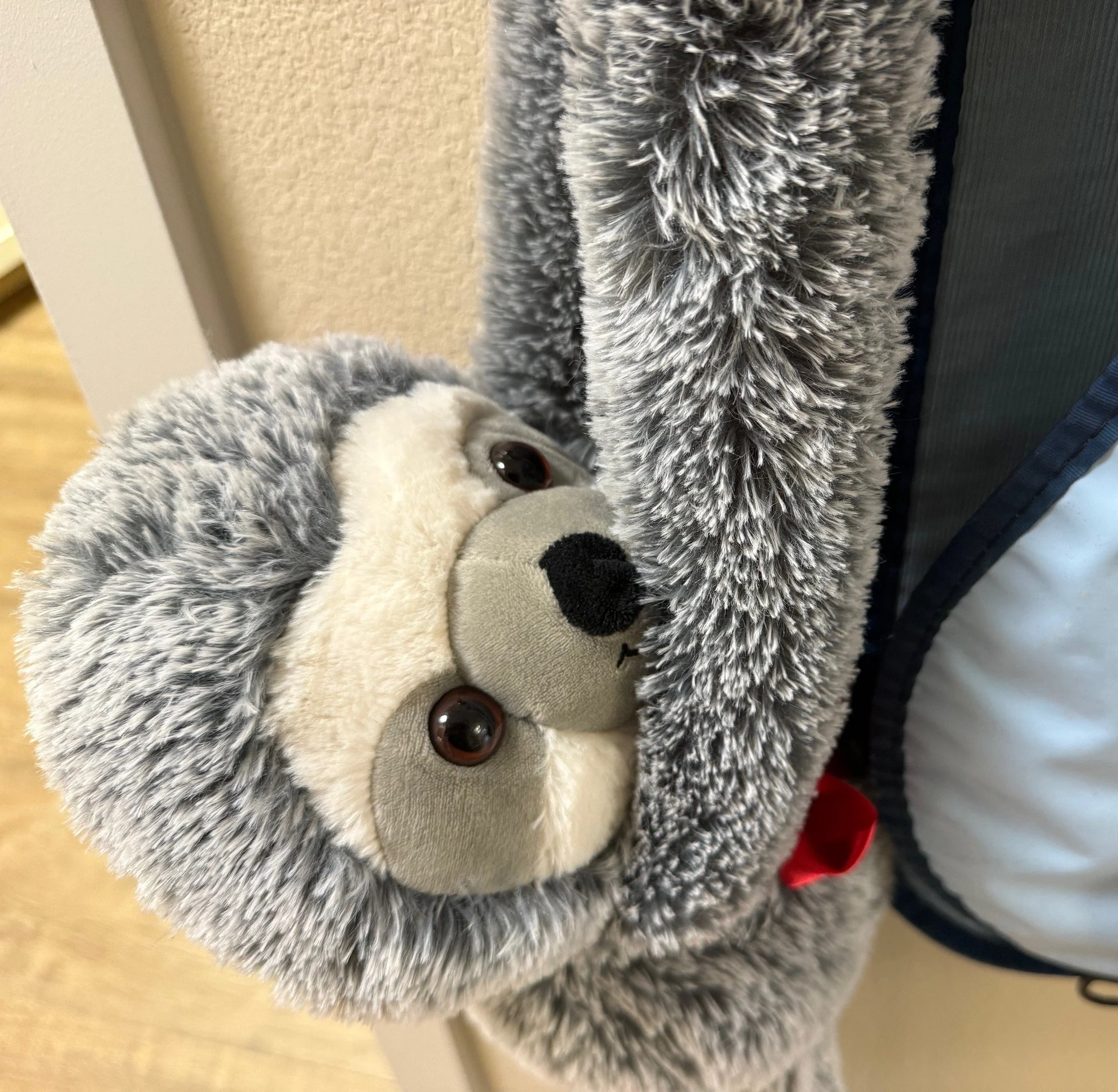 Sebastian the Sloth, patient companion stuffy