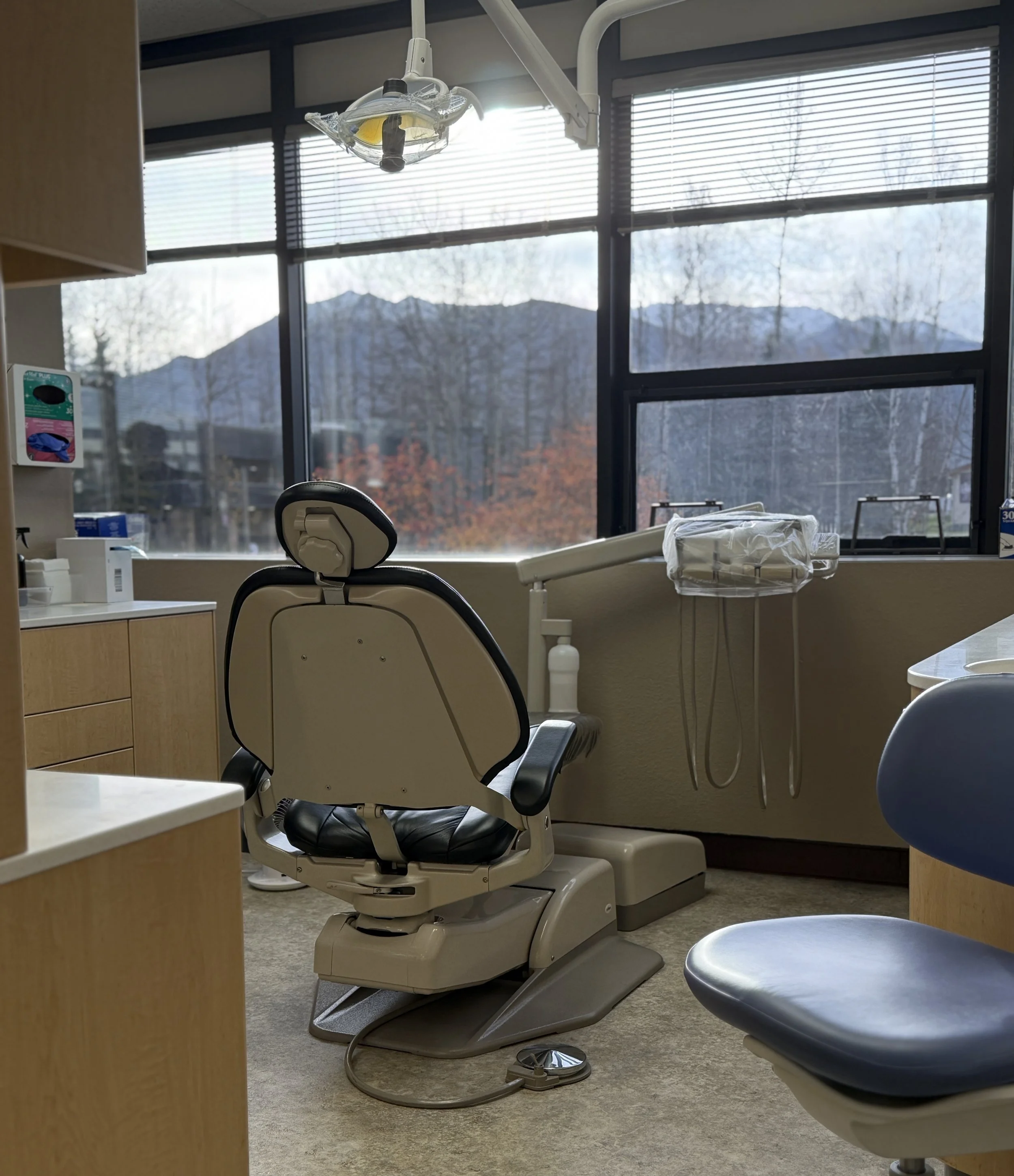Empty dental exam room with dental chair, overhead light, and large window with mountain view.