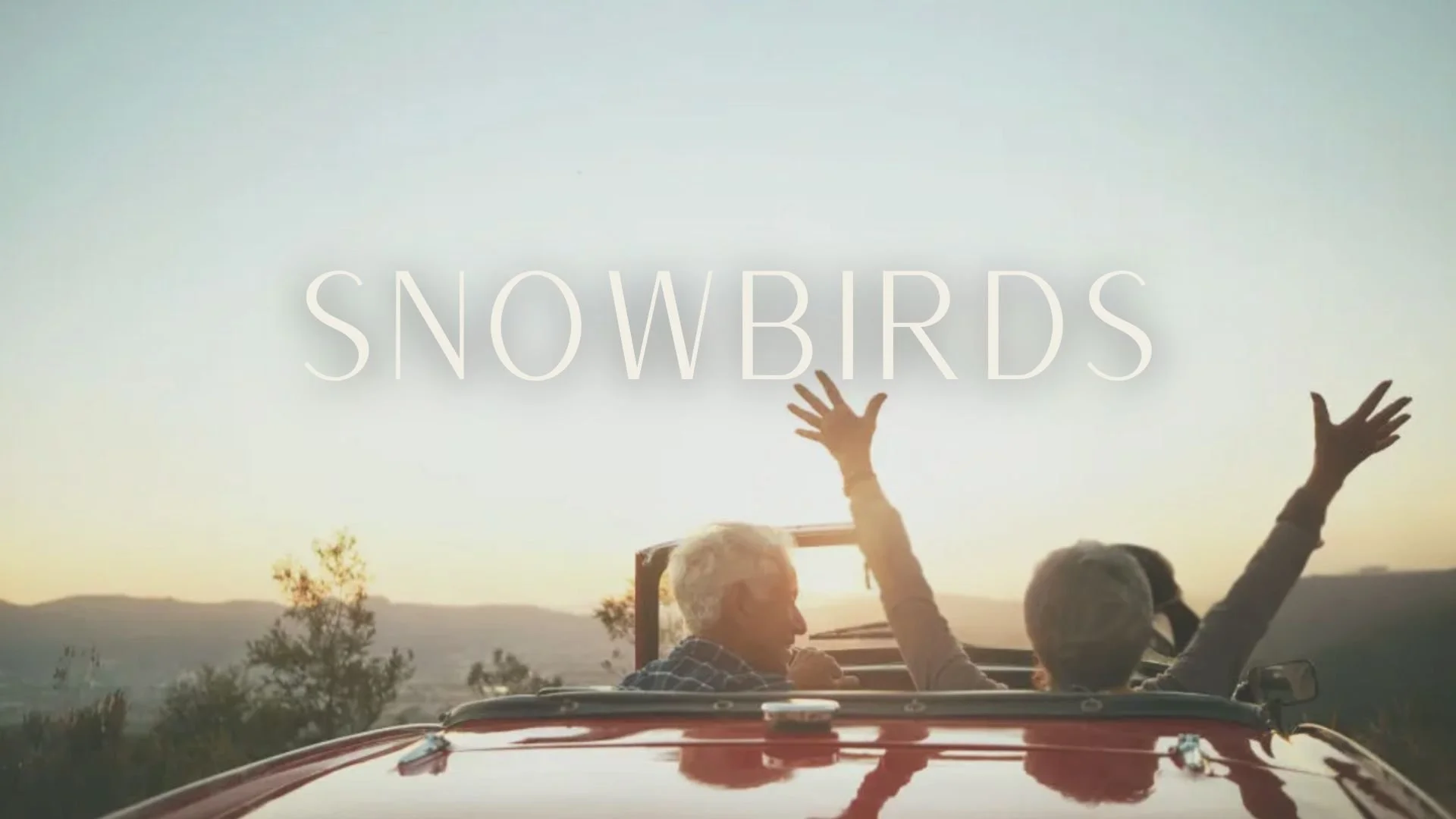 Snowbirds and U.S. Property Owners
