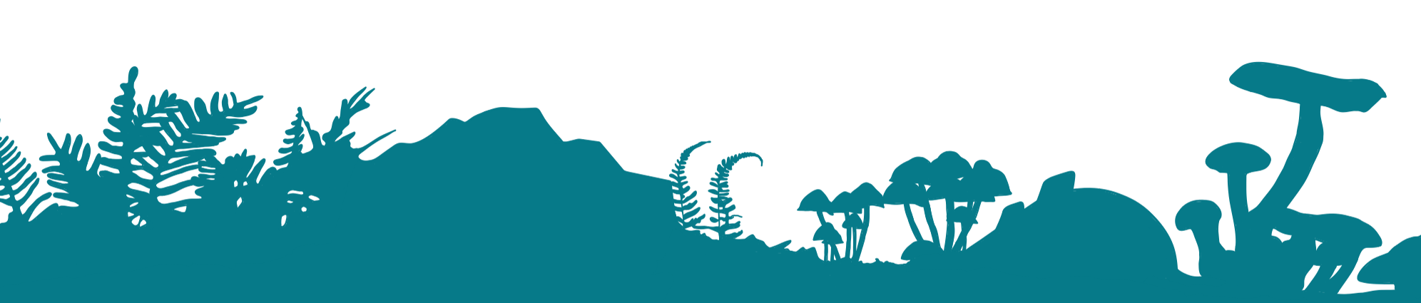 An illustration of a teal silhouette of a forest floor of ferns. mushrooms, and boulders.