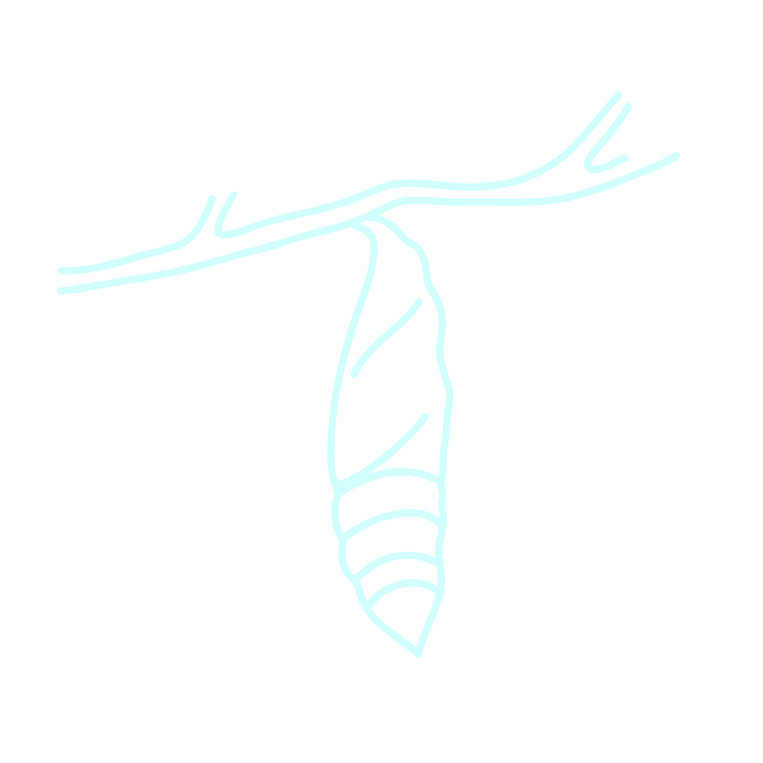 An illustration of a cocoon hanging from a branch.