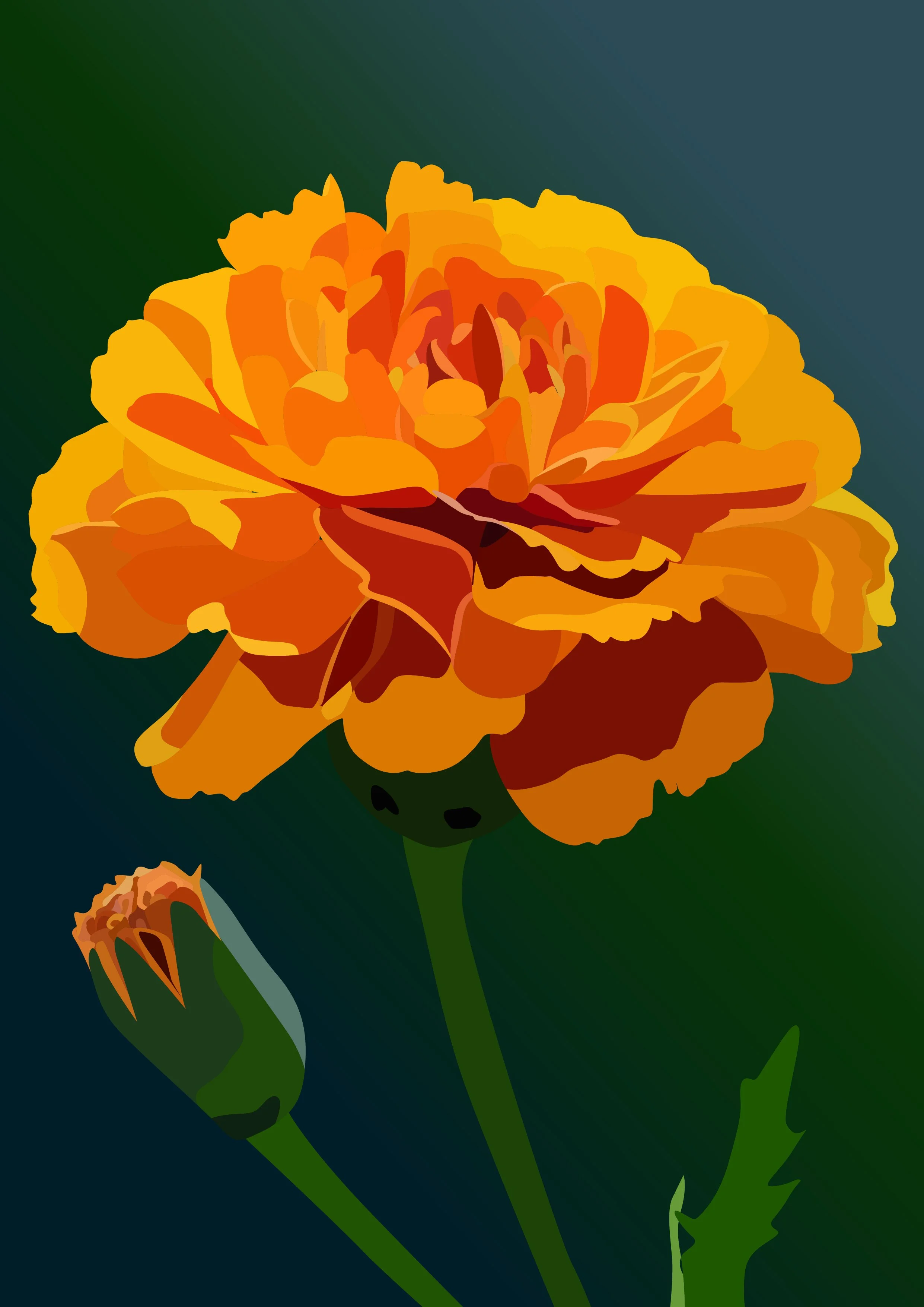 Marigold.jpg