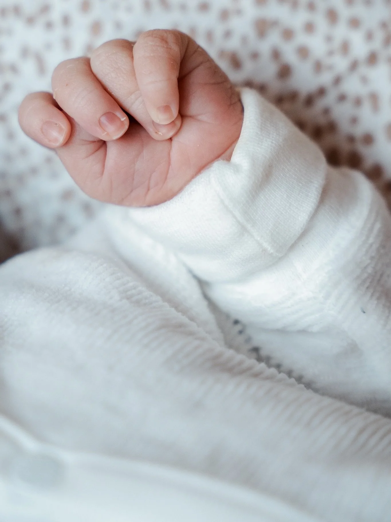 De allerkleinste handjes en voetjes van een baby&rsquo;tje, zo geweldig om te zien en vast te leggen! Kijk hoe klein en perfect deze handjes en voetjes zijn! 🩵🩷

Newbornshoot of zwangerschapsshoot plannen? Stuur vrijblijvend een DM! 💌

#newbornfot