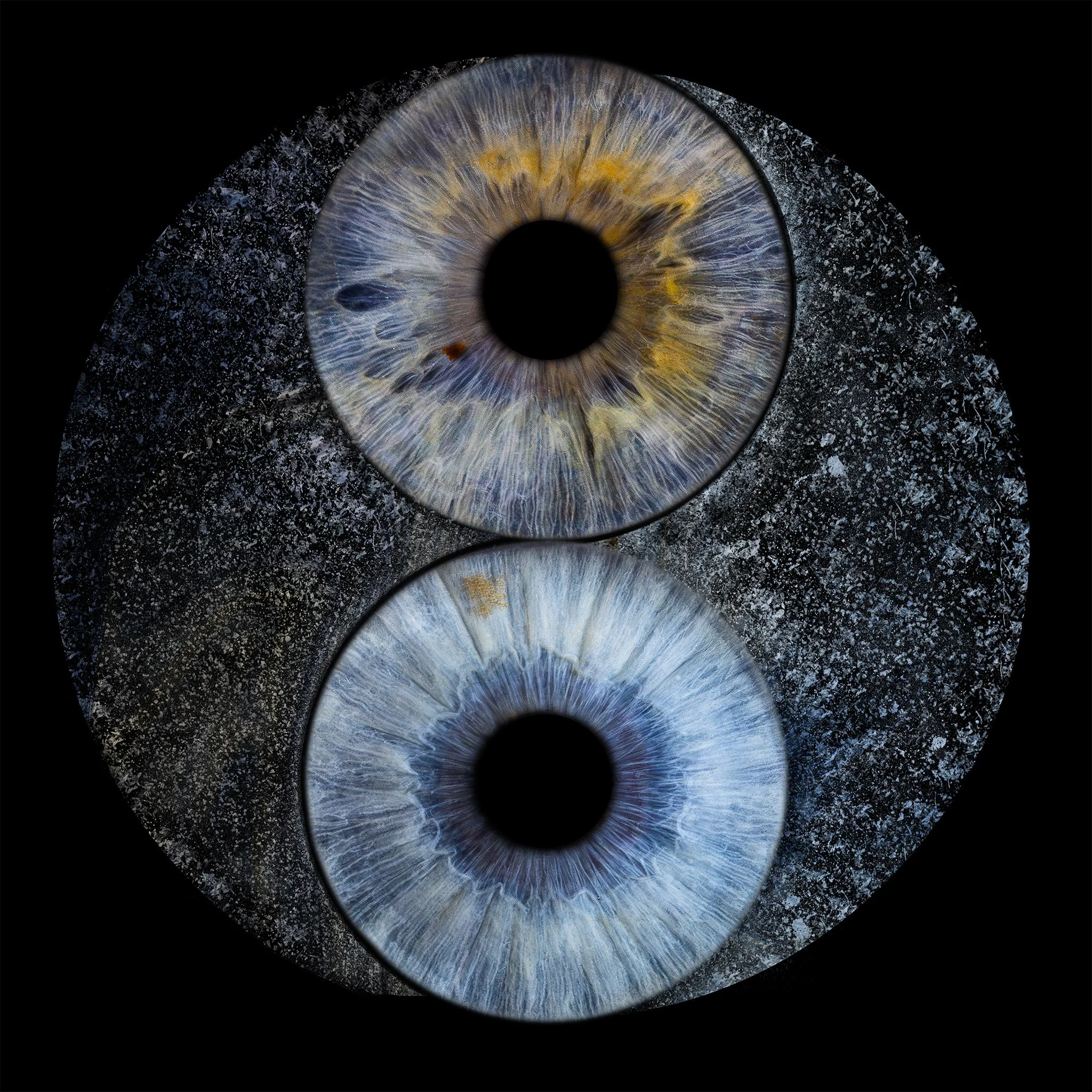 YinYang 2048px JPG.jpg