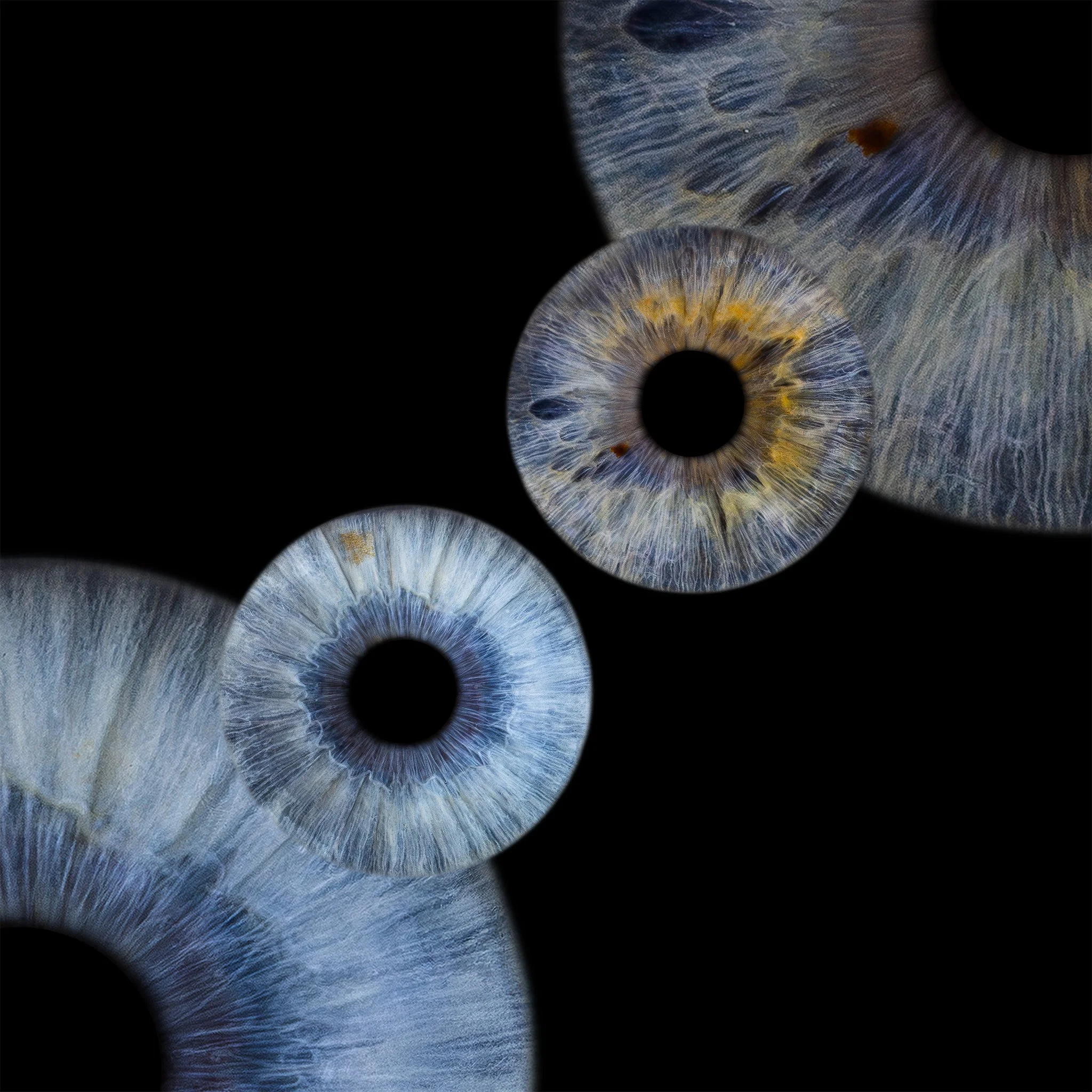 Double Retro 2048px JPG.jpg