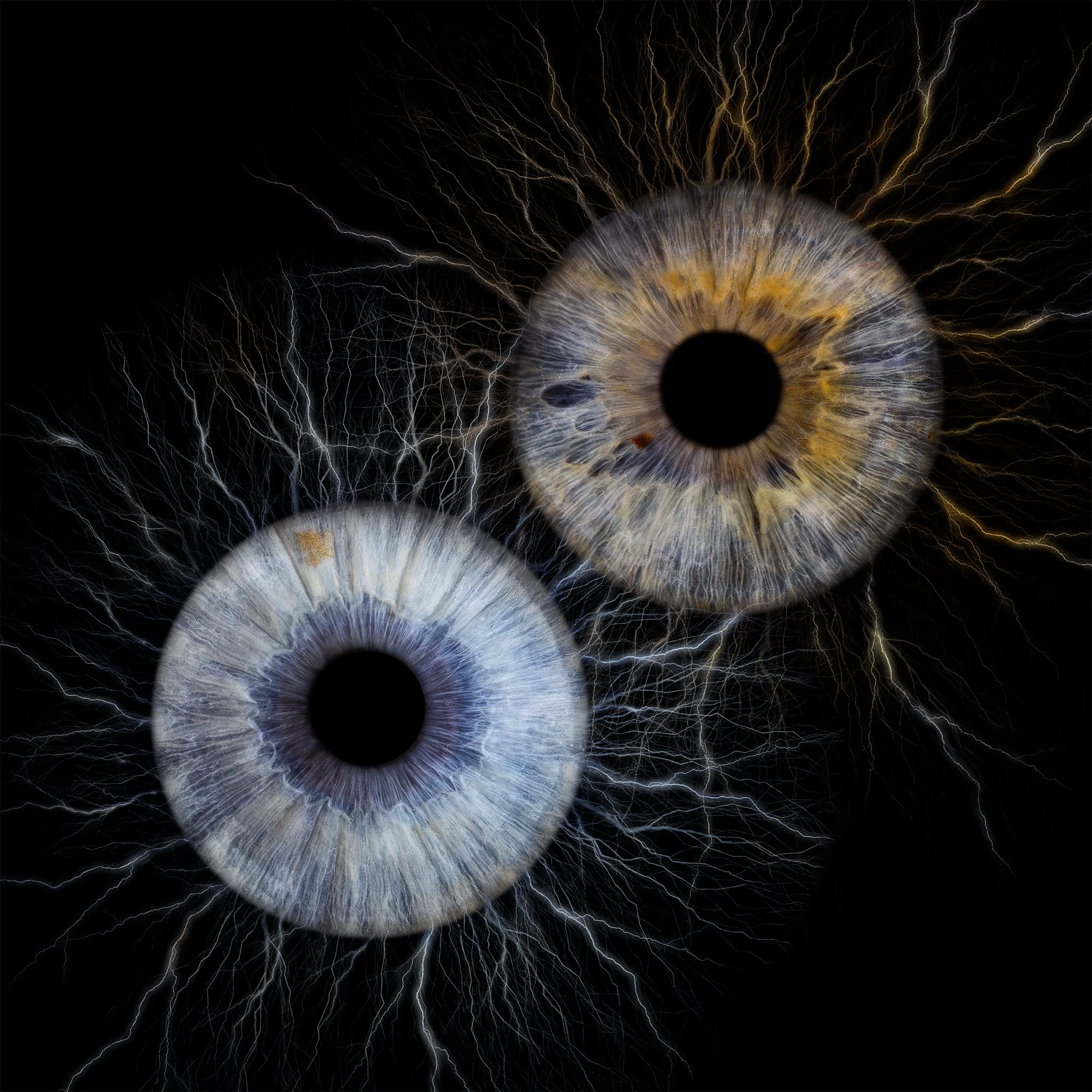 Double Neuron 2048px JPG.jpg