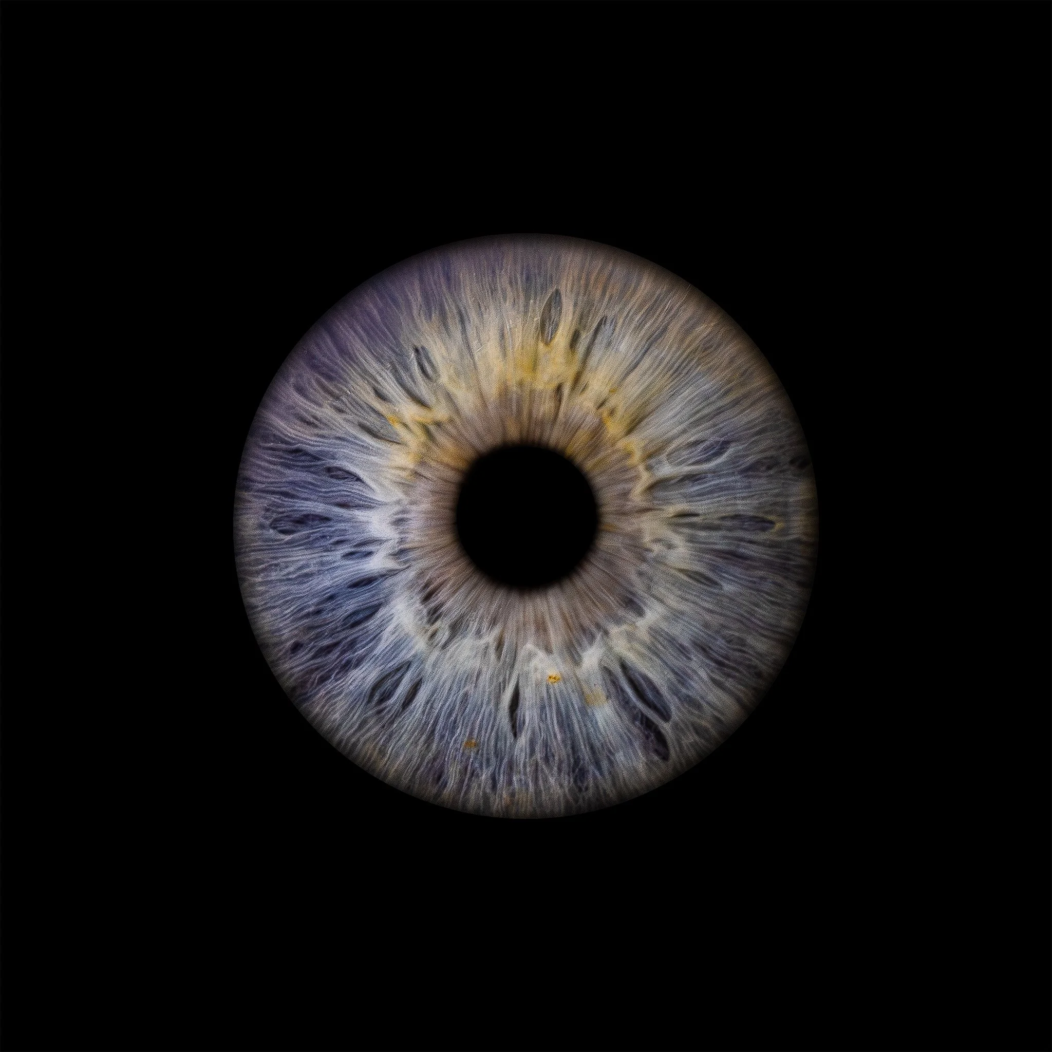 Individual Iris - Plain Black Background
