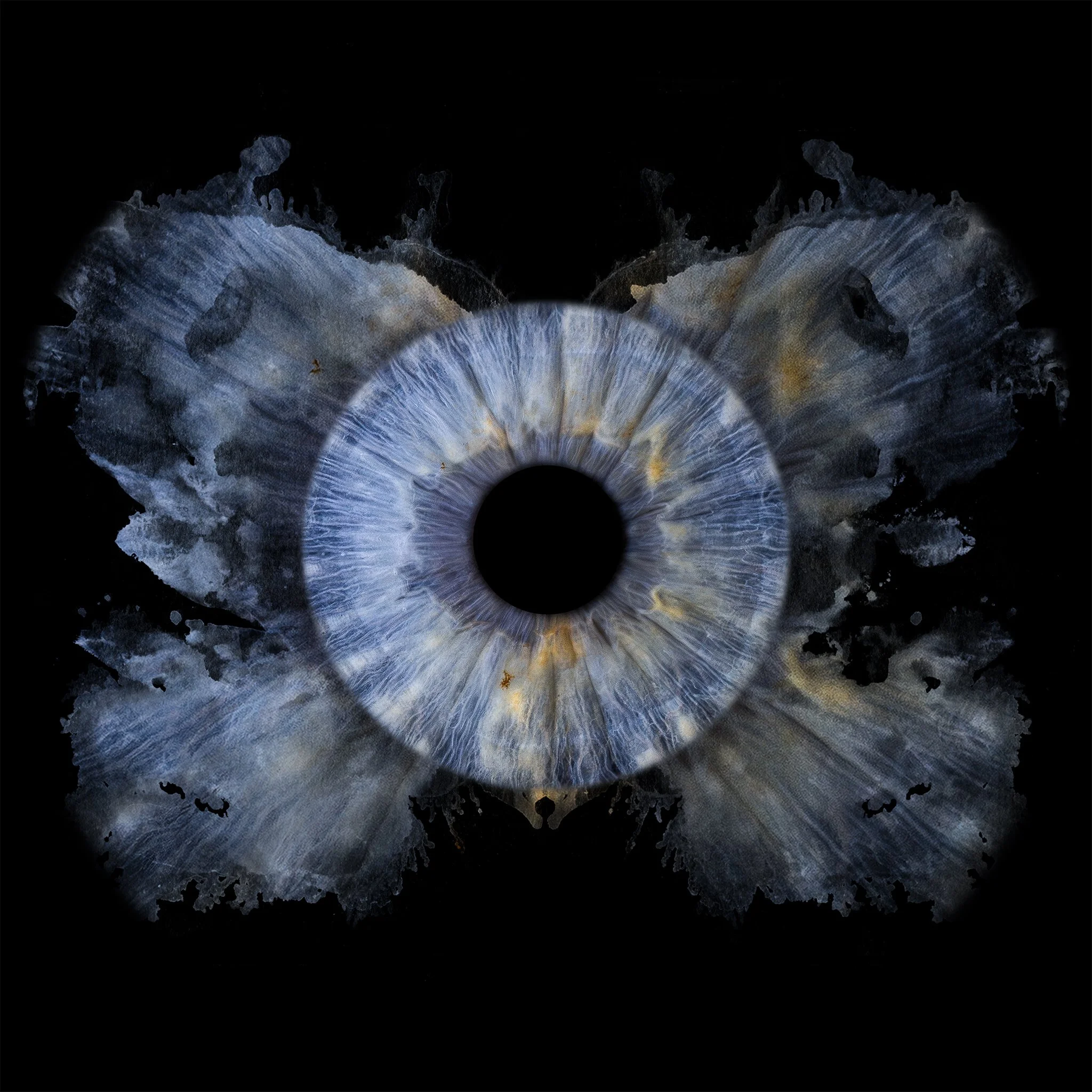 Individual Iris Design Upgrade