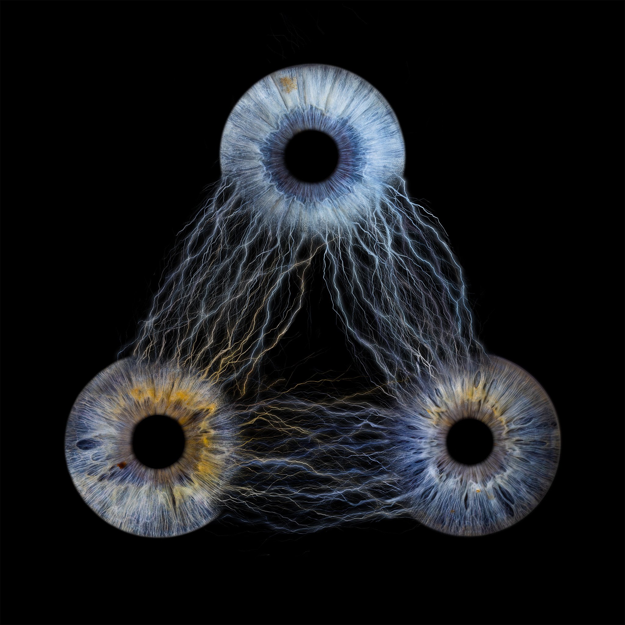 3-Magnetic 2048px JPG.jpg