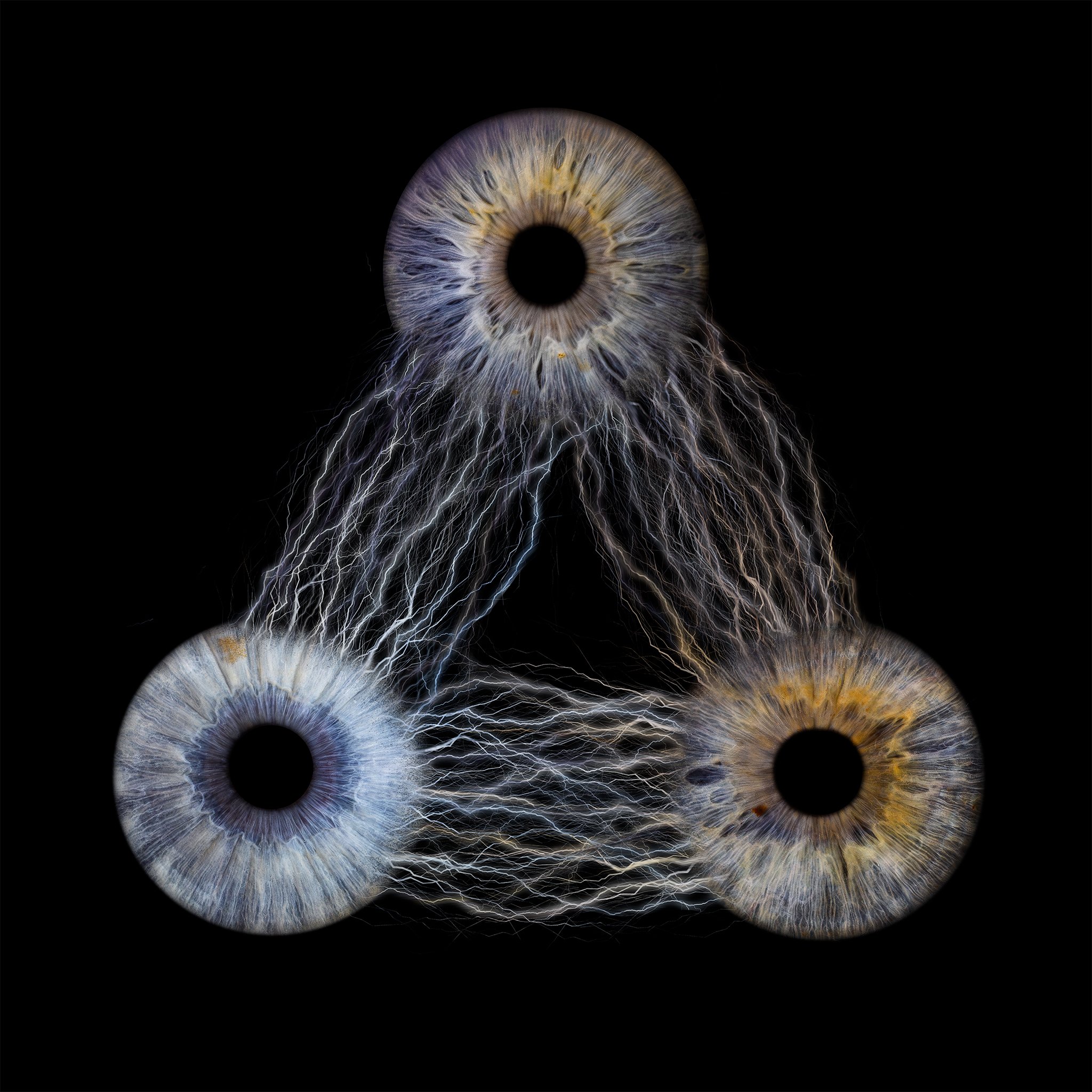 3-Magnetic 2048px JPG.jpg